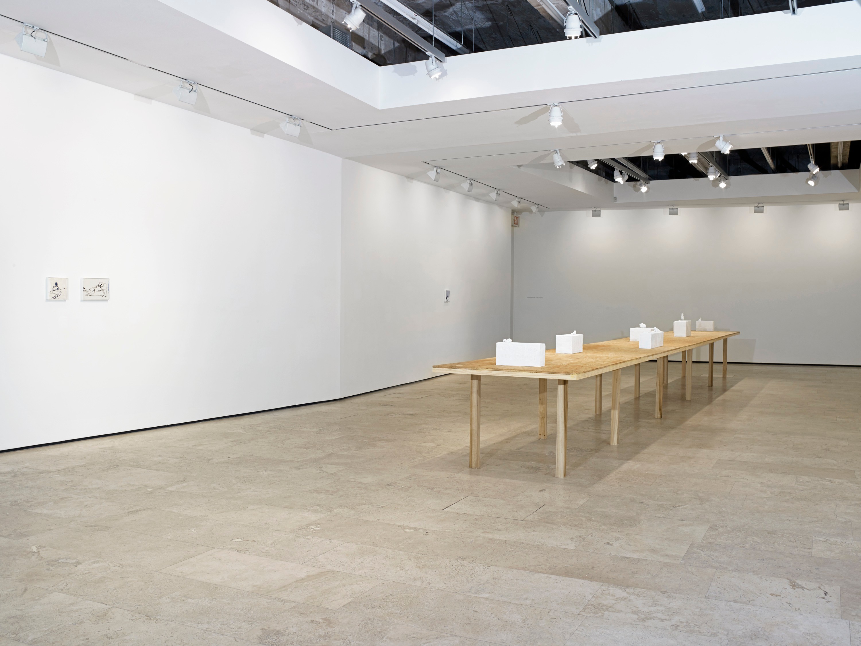 Installation view of I Followed You To The Sun at Lehmann Maupin New York