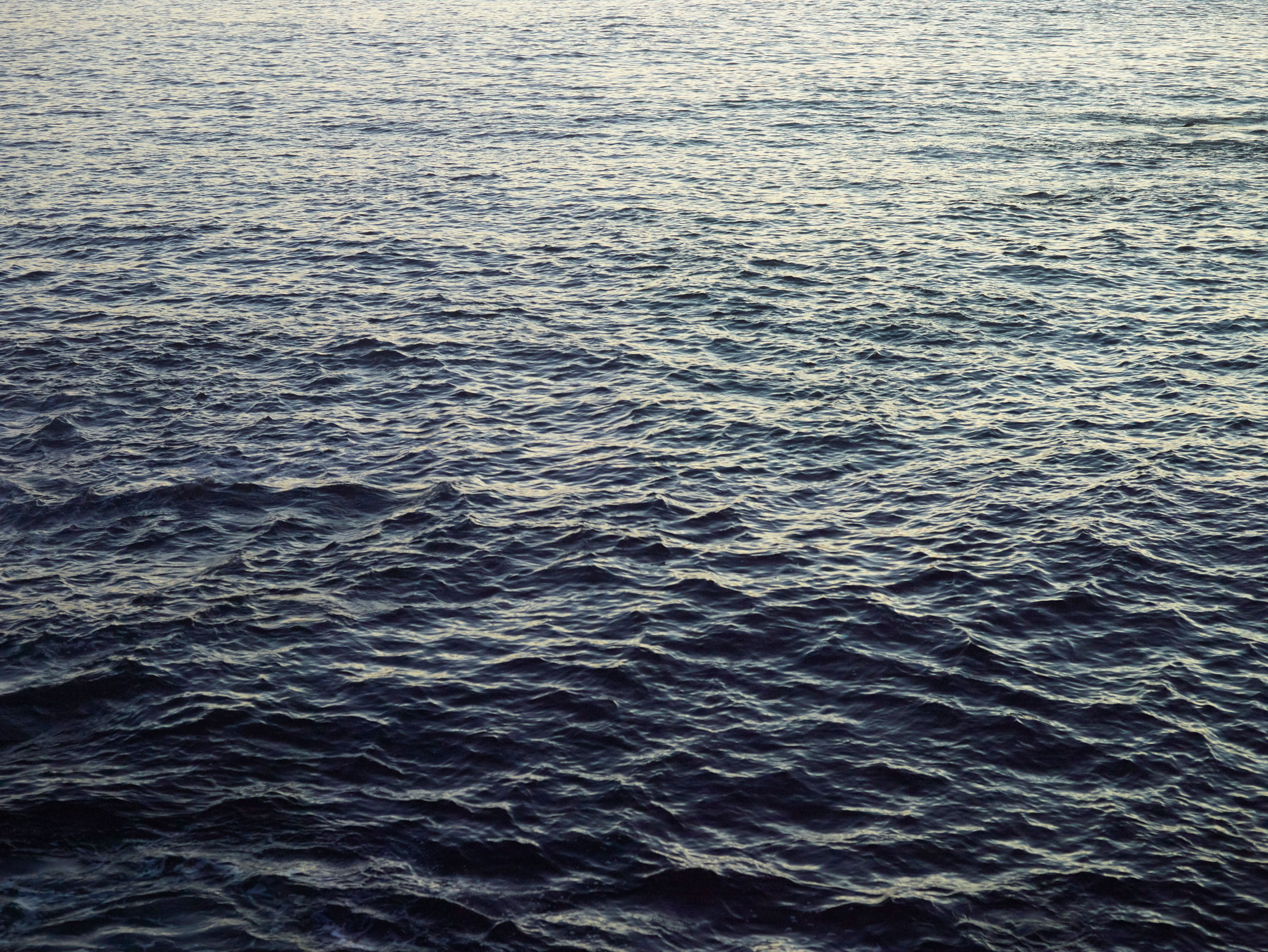 Photograph by Catherine Opie