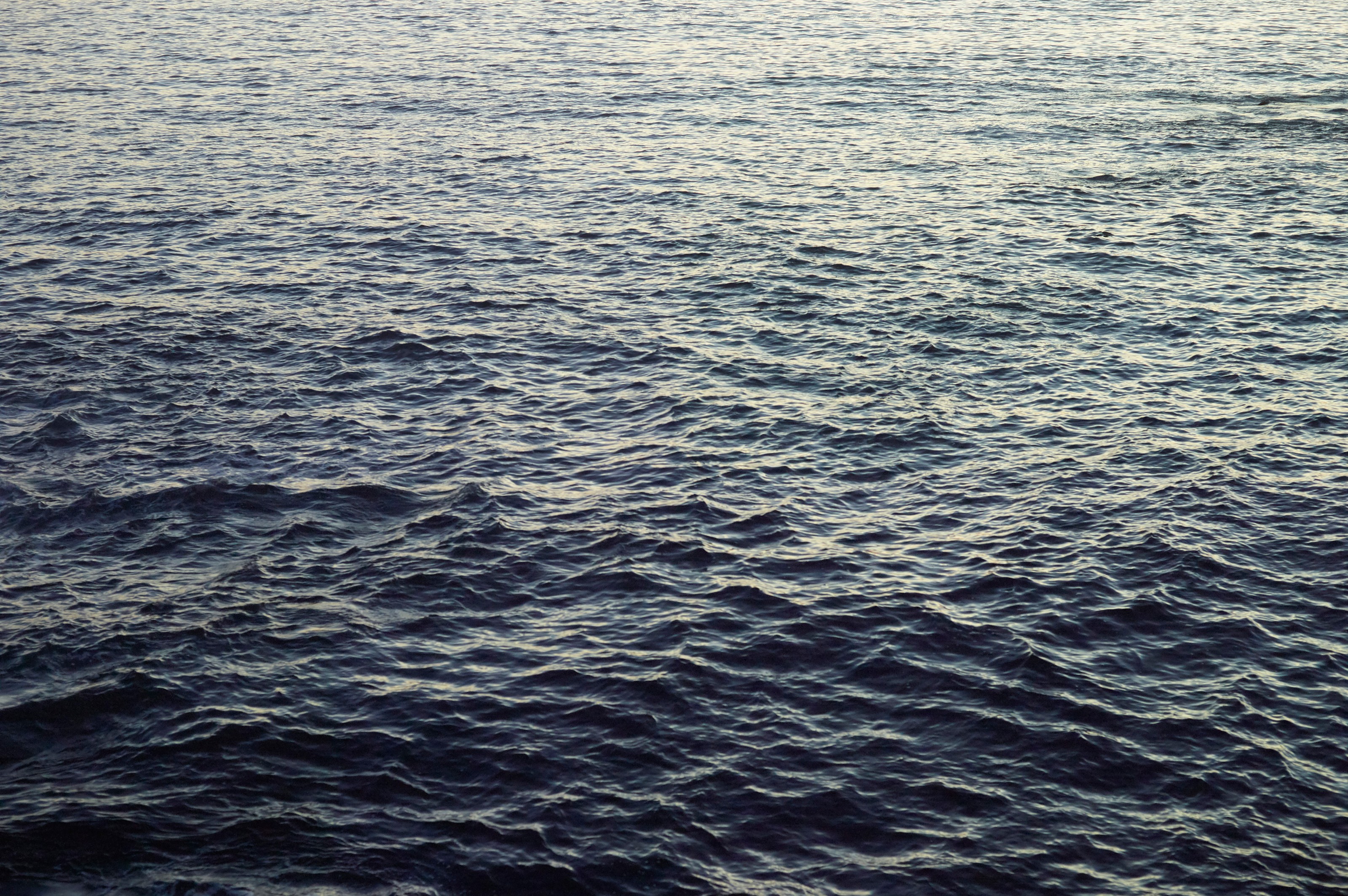 Photograph by Catherine Opie