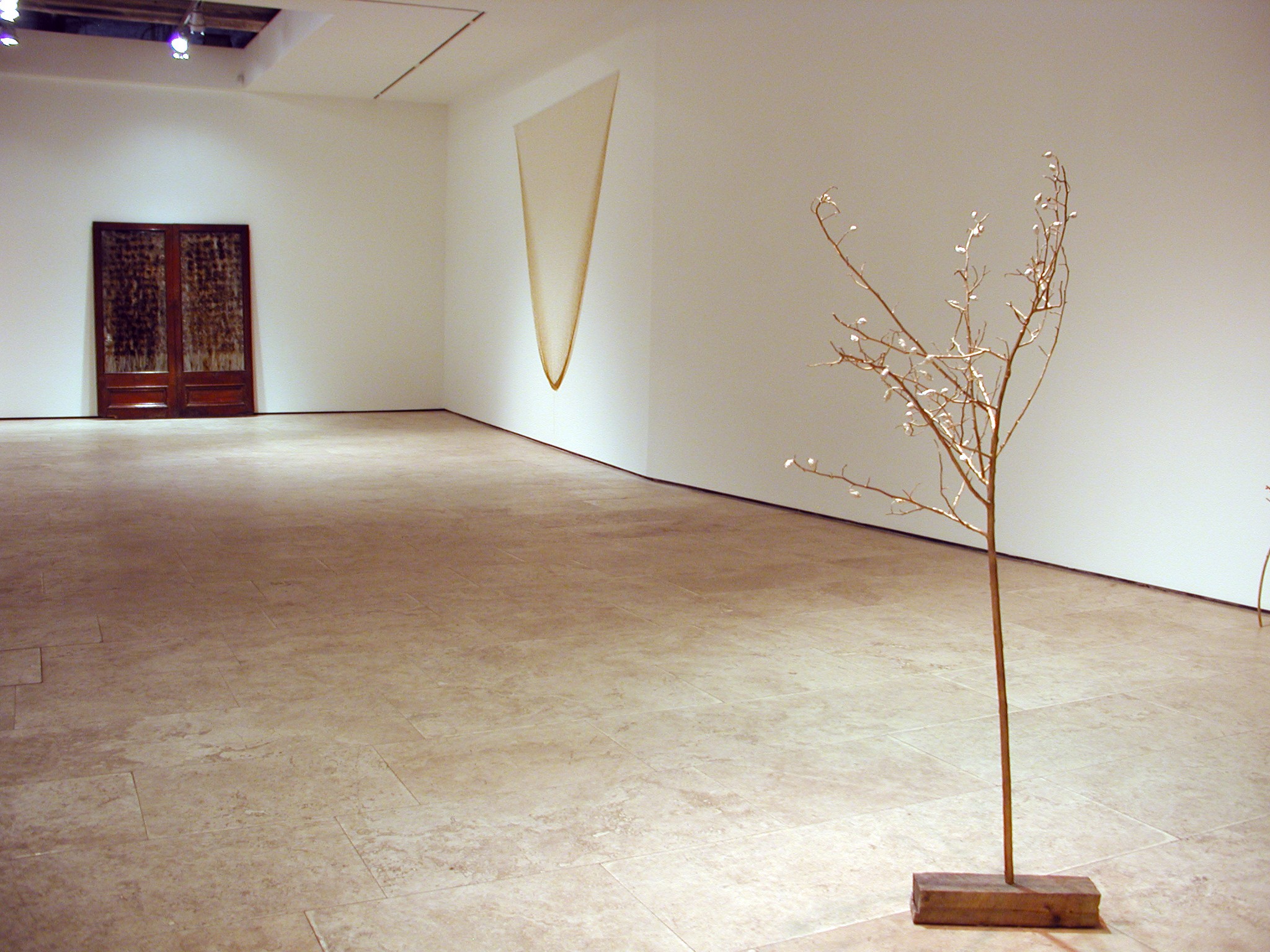 Installation view of Anya Gallaccio at Lehmann Maupin New York