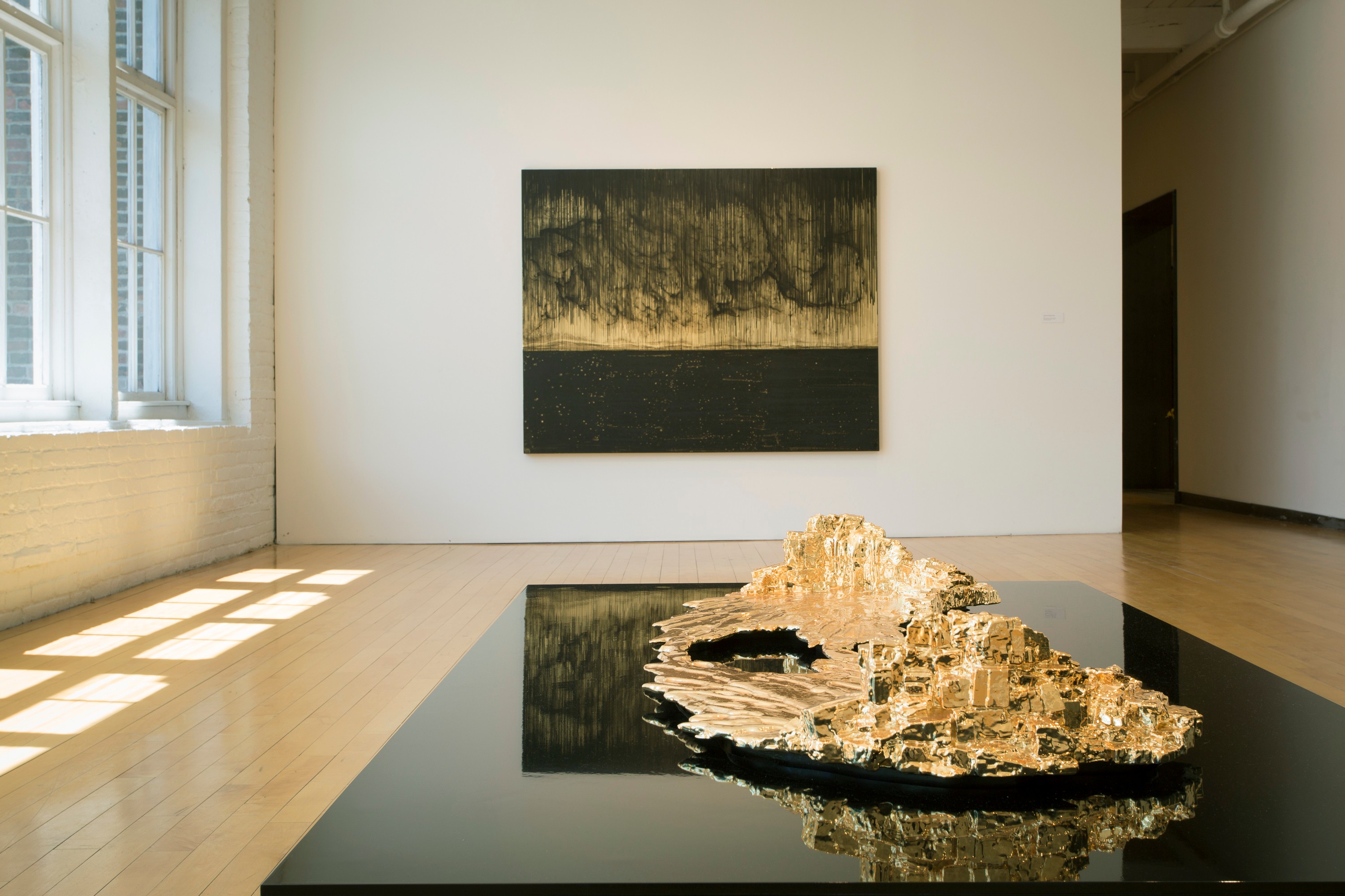 Teresita Fernández Installation