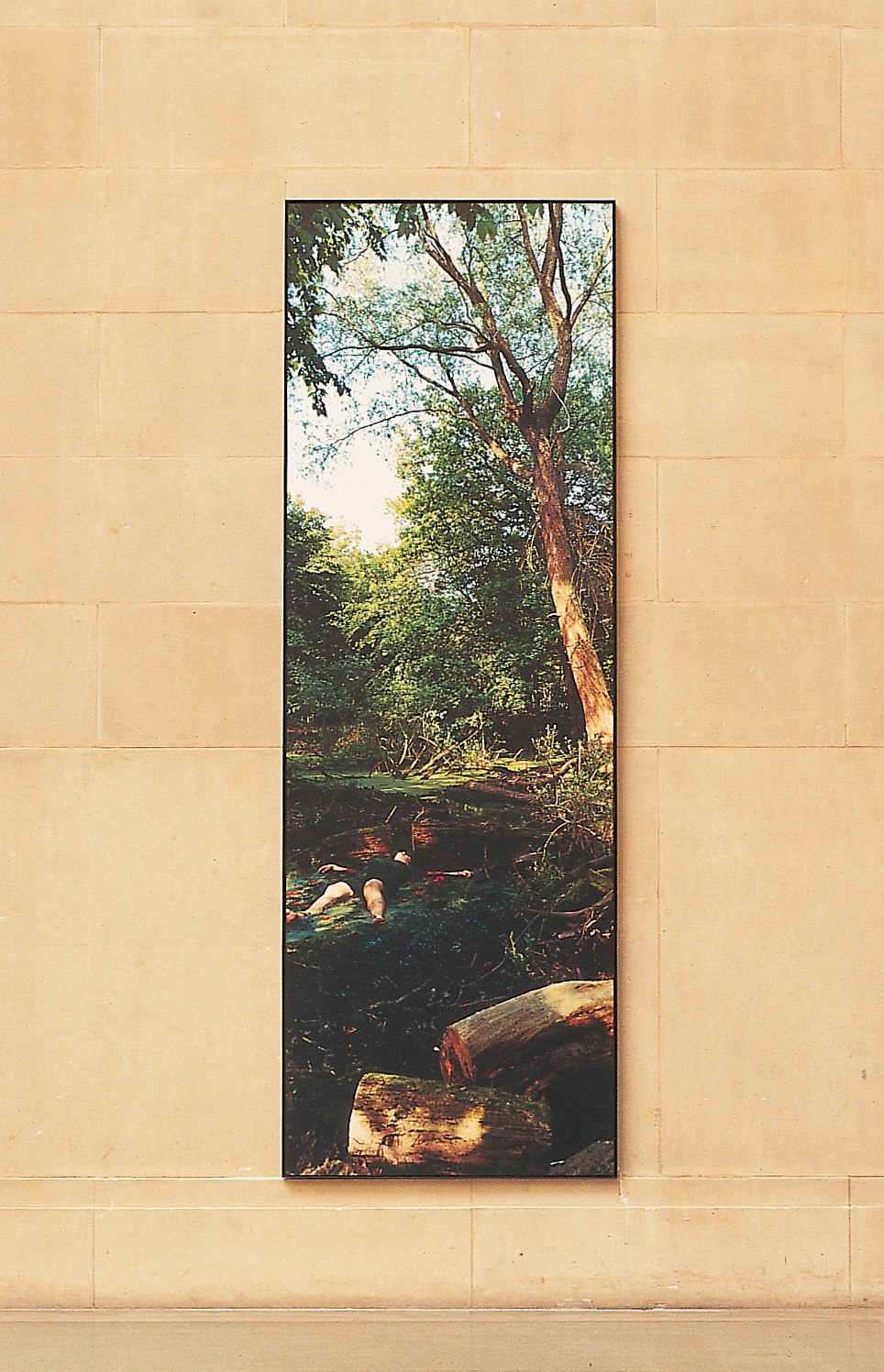 Installation view of Anya Gallaccio at Tate Britain