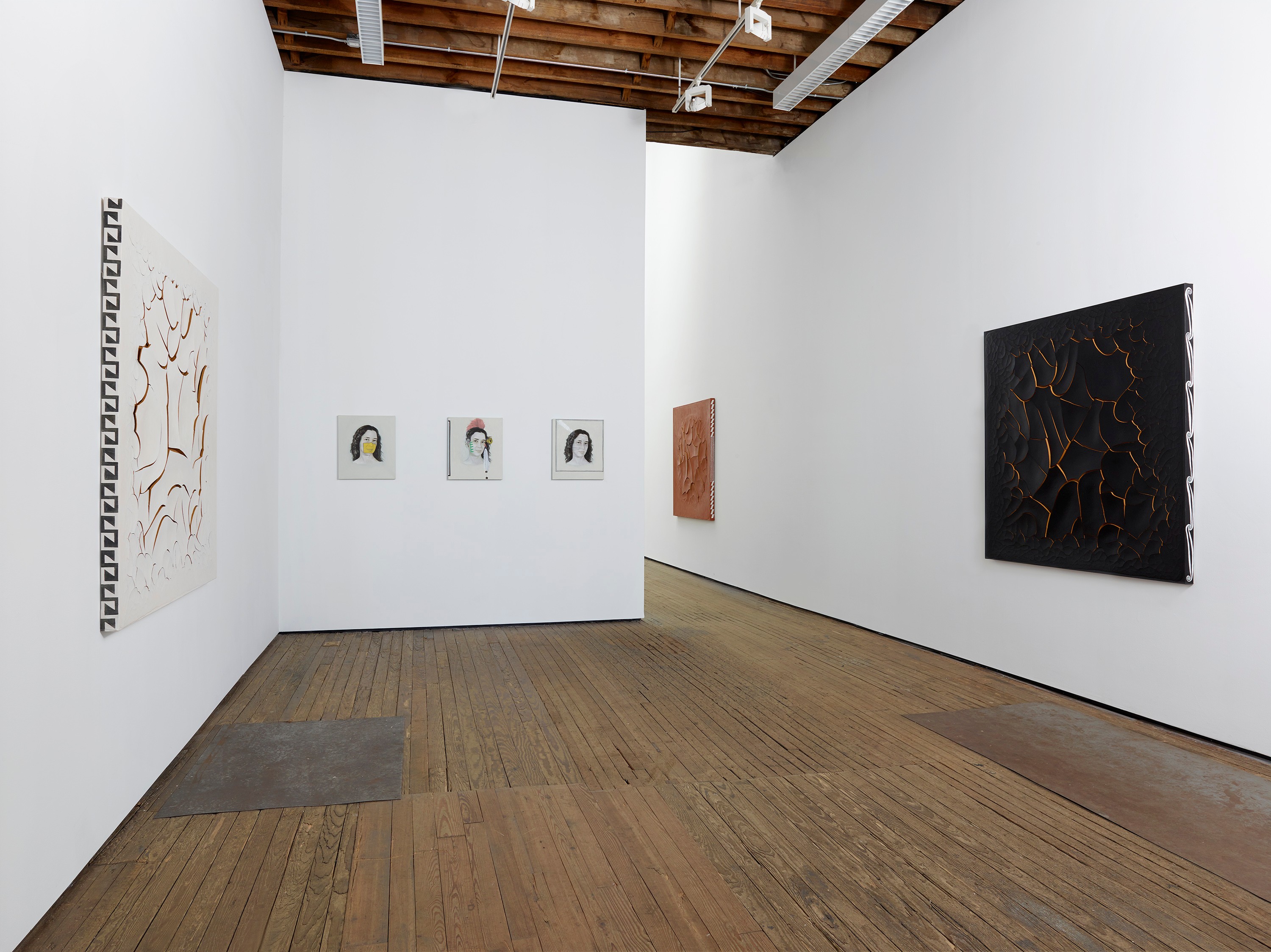 Installation view of Adriana Varejão at Lehmann Maupin Hong Kong
