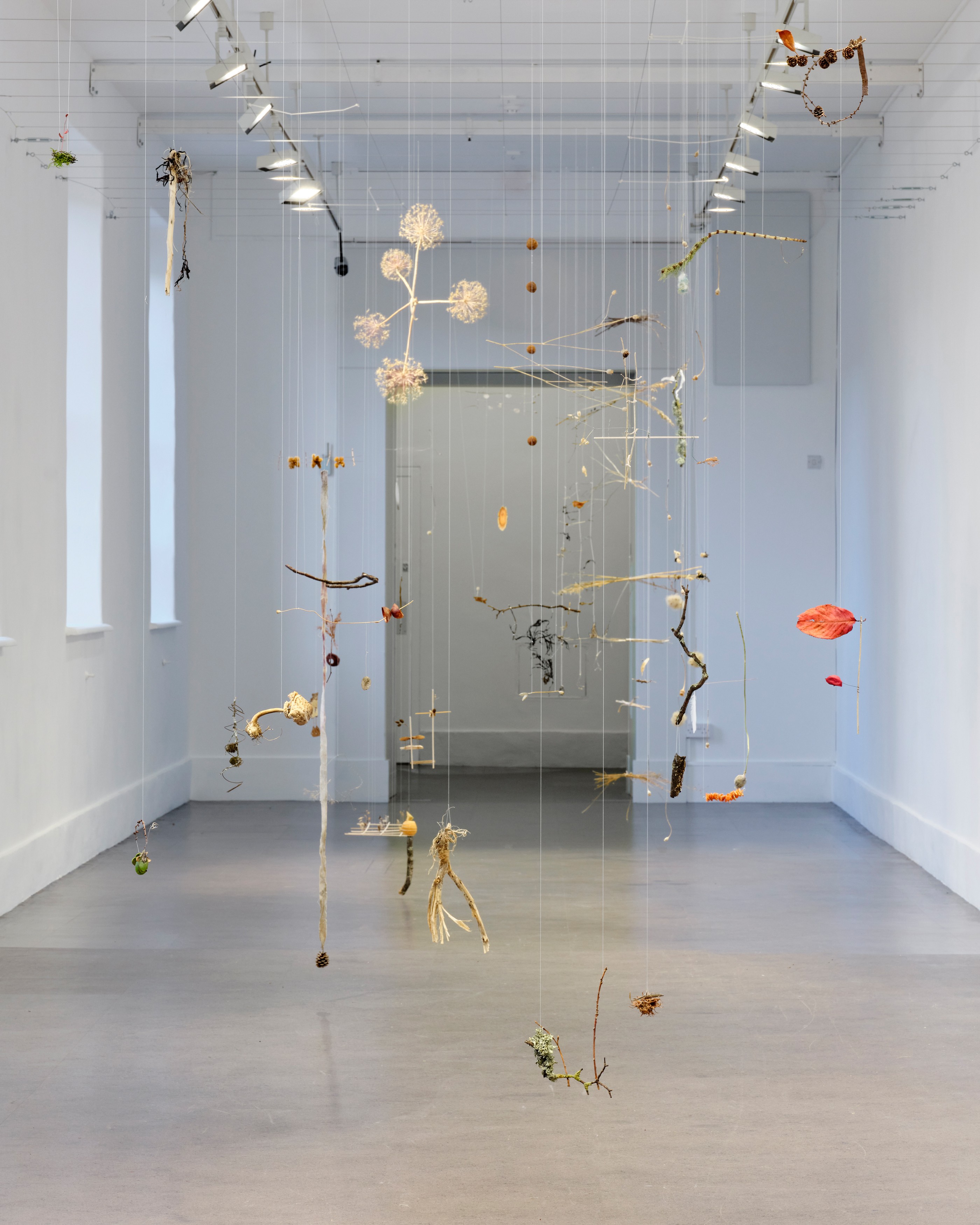 Installation view of Cecilia Vicuña at Irish Museum of Modern Art