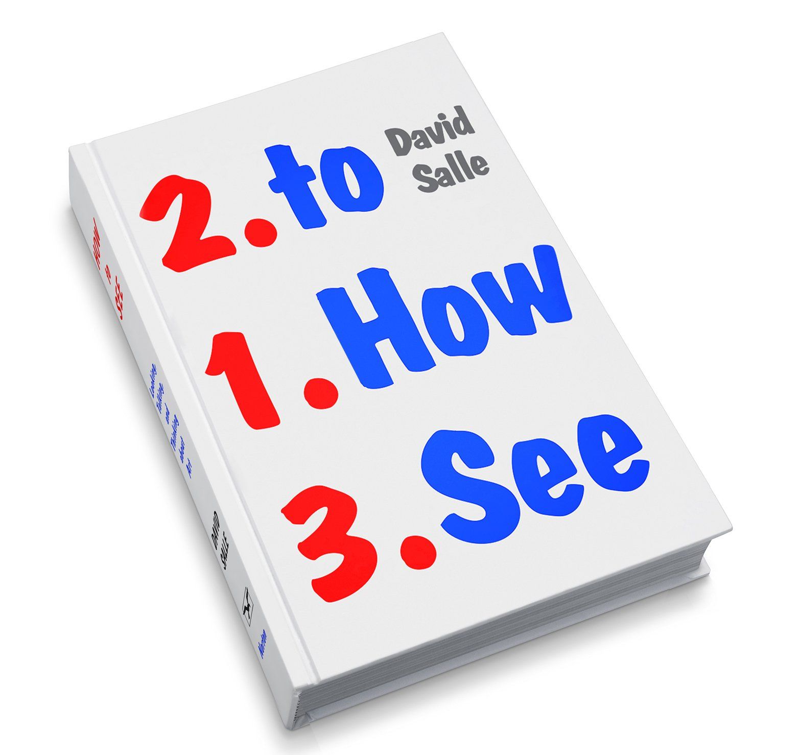 David Salle: How to See