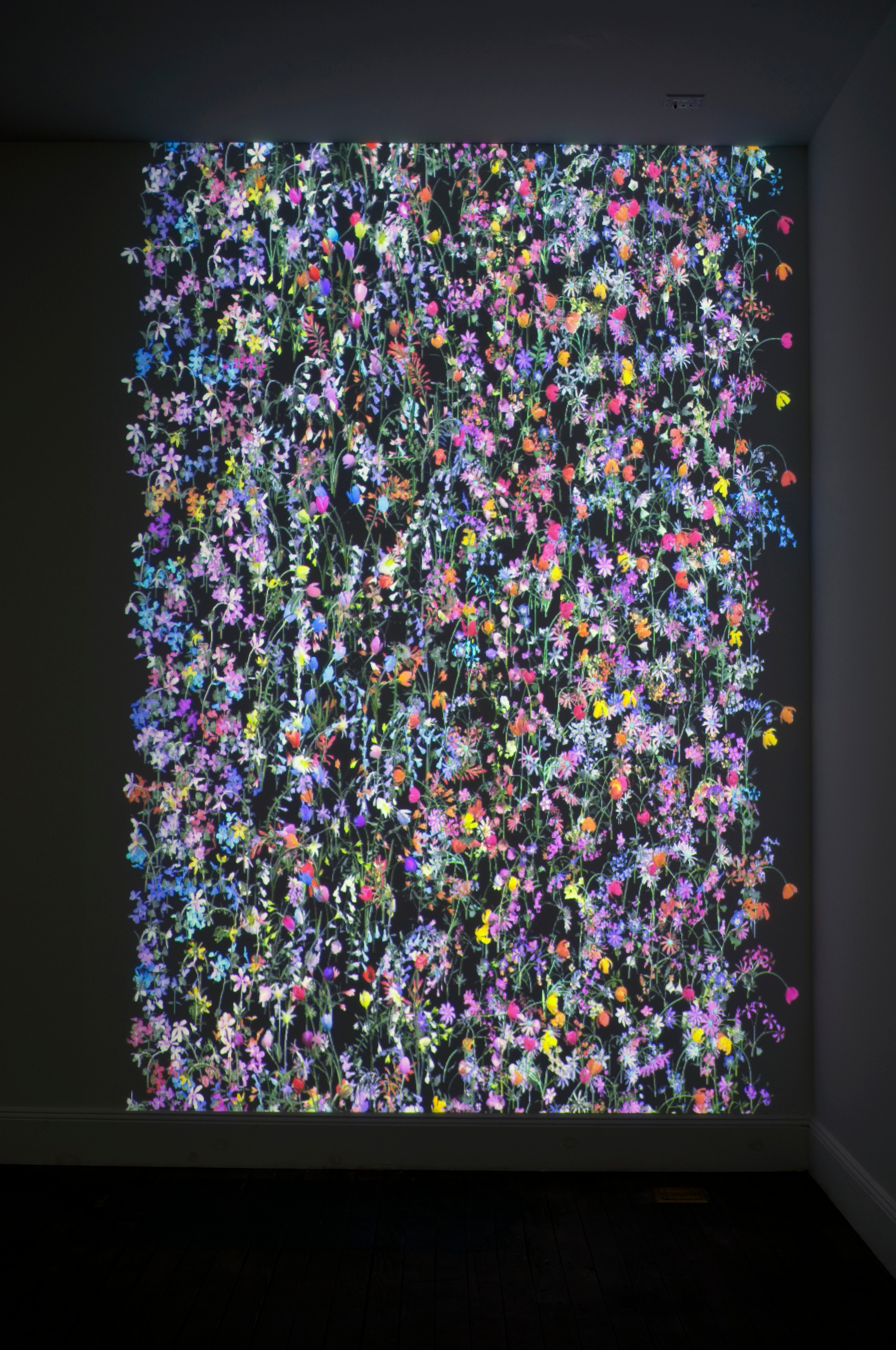 Installation view of Daisy Bell and Left Clavicle at Lehmann Maupin New York