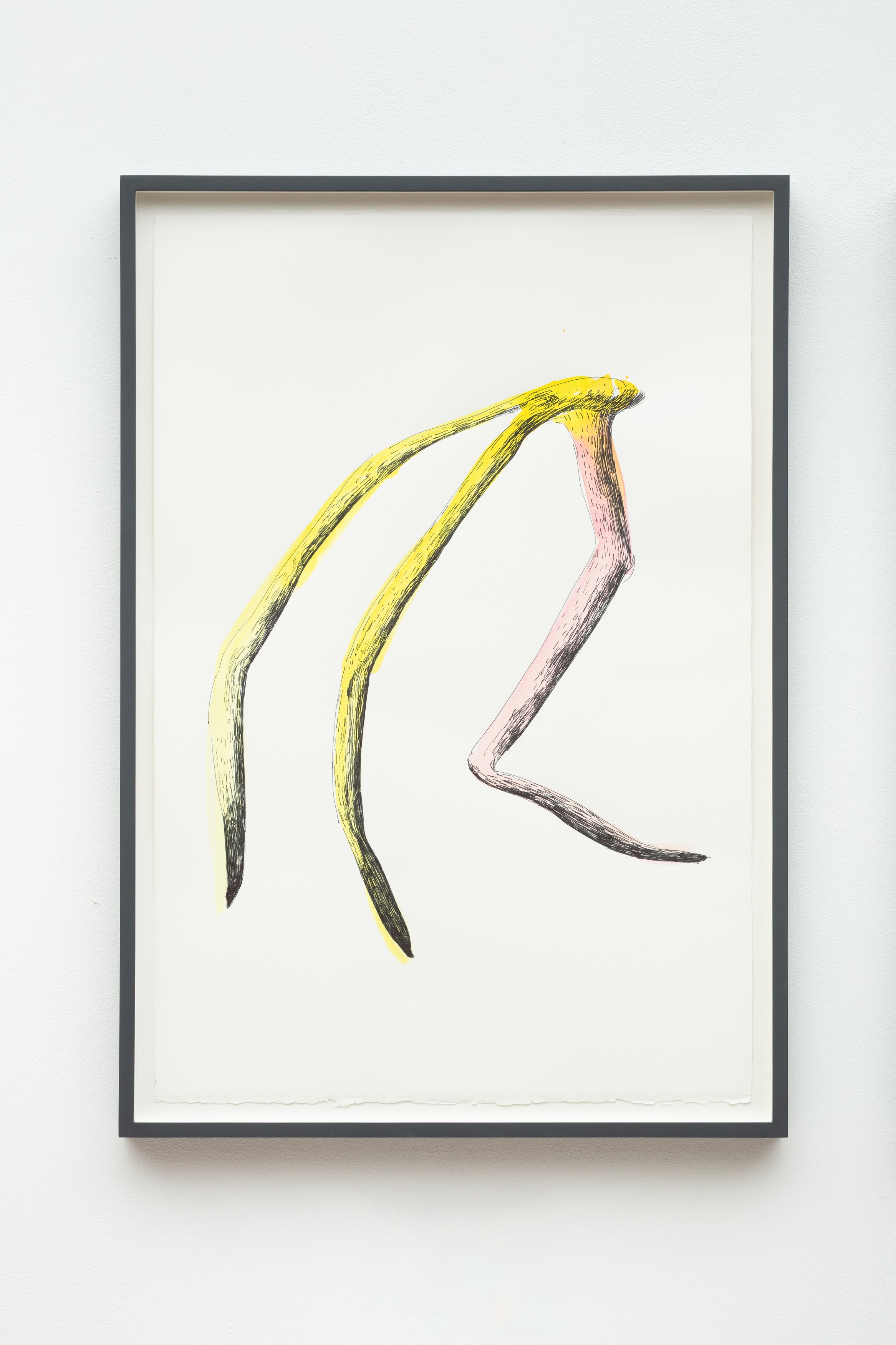 Drawing by Teresa Solar Abboud