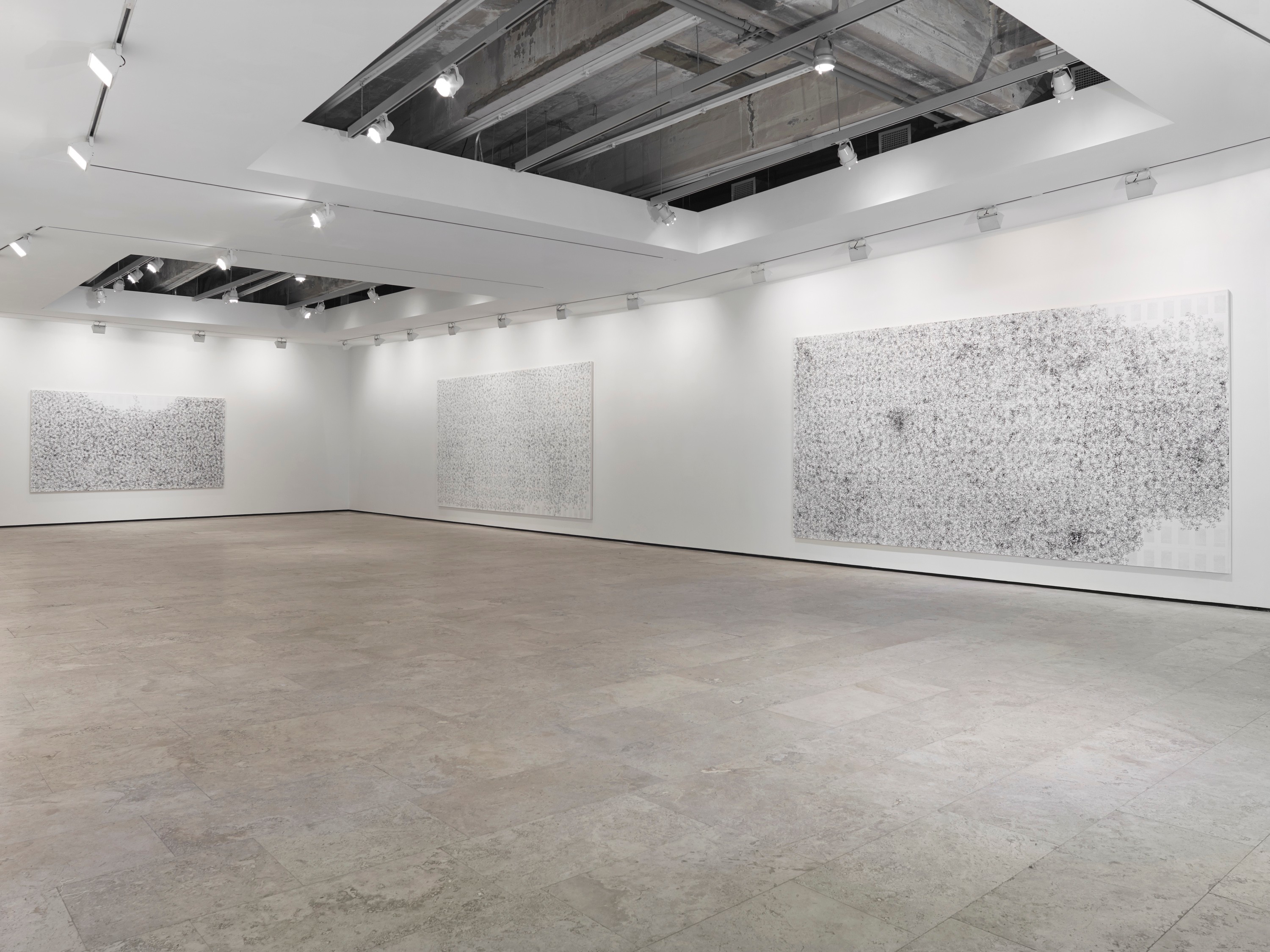 Installation view of On the Origin at Lehmann Maupin New York