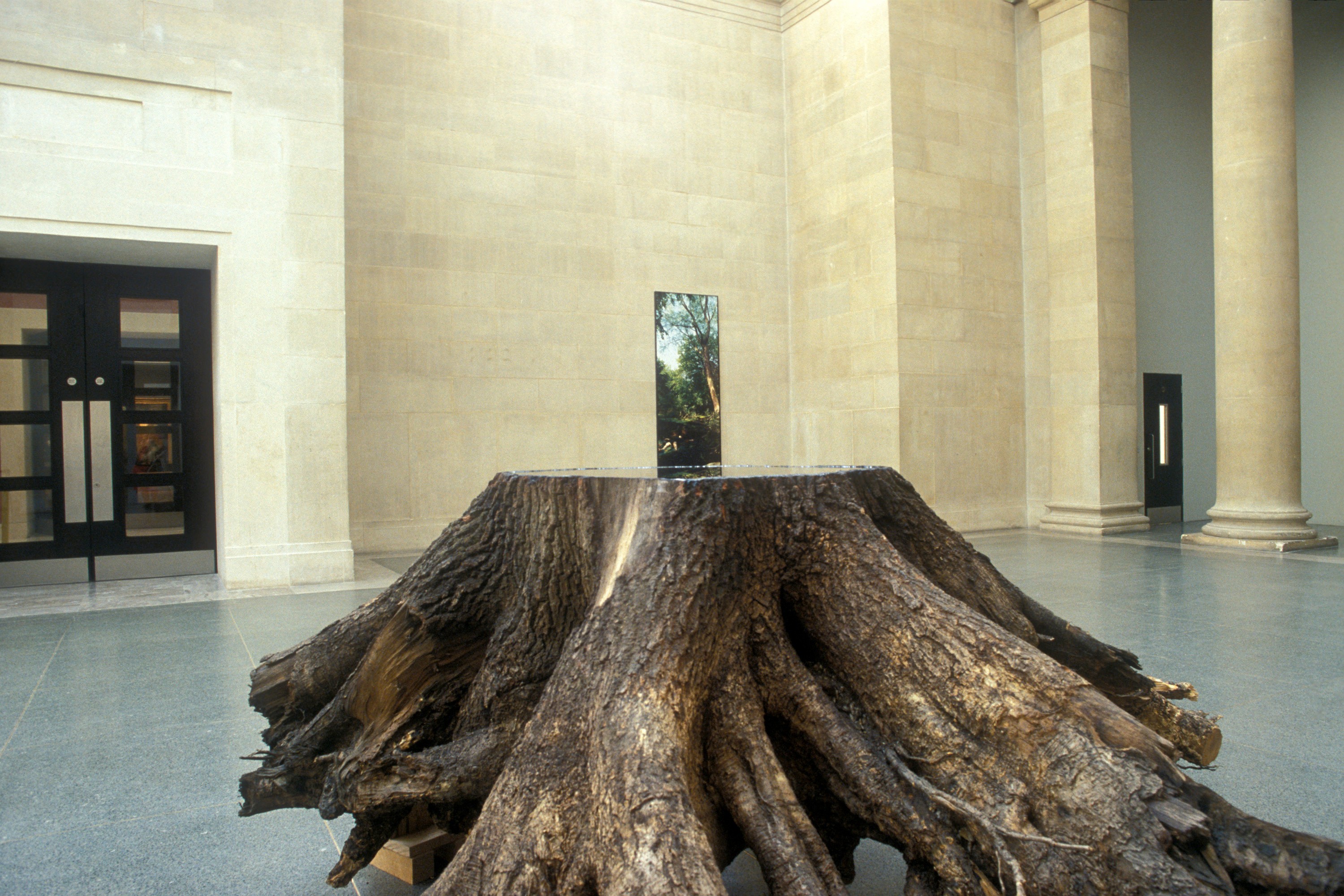 Installation view of Anya Gallaccio at Tate Britain