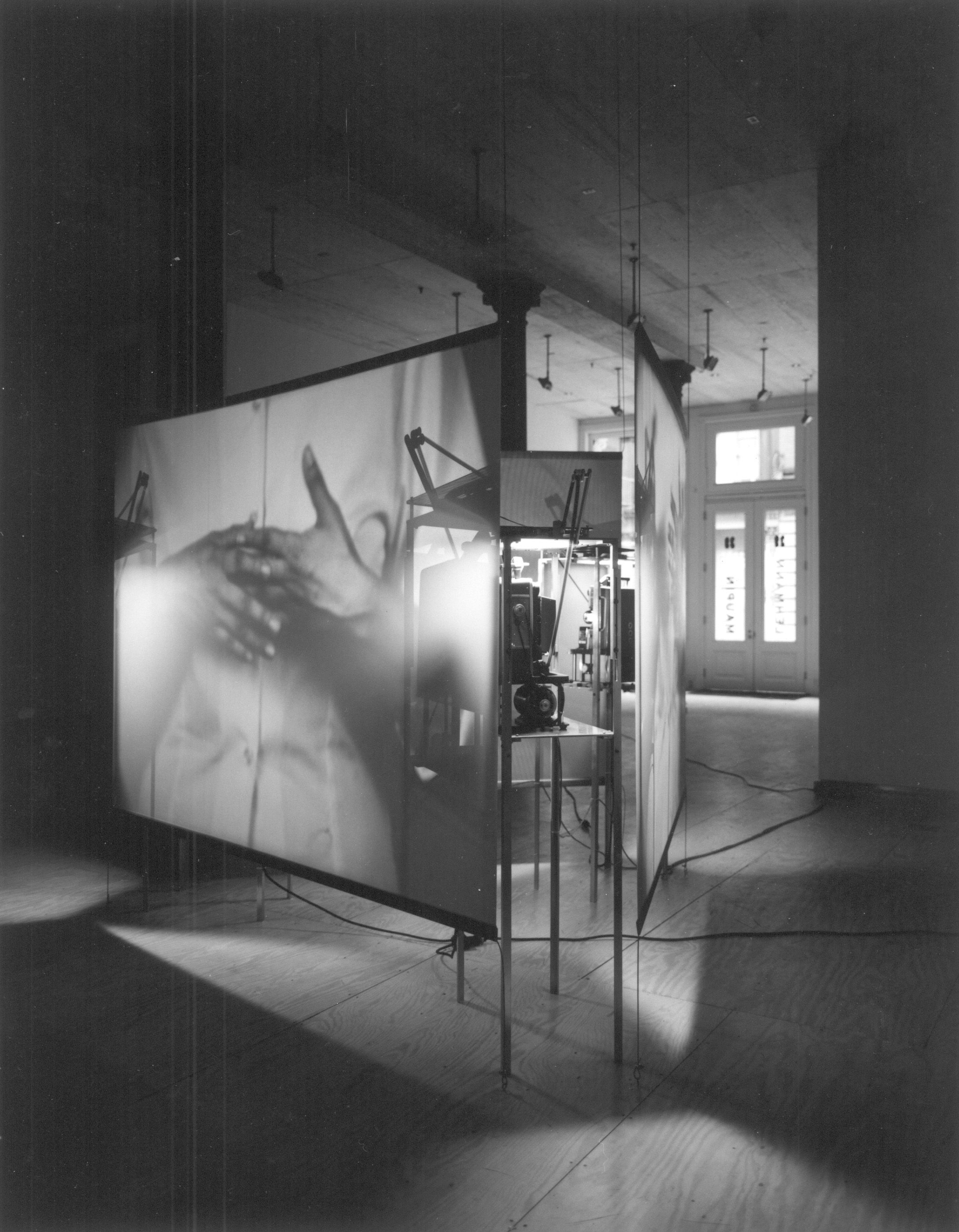 Installation by Liisa Roberts