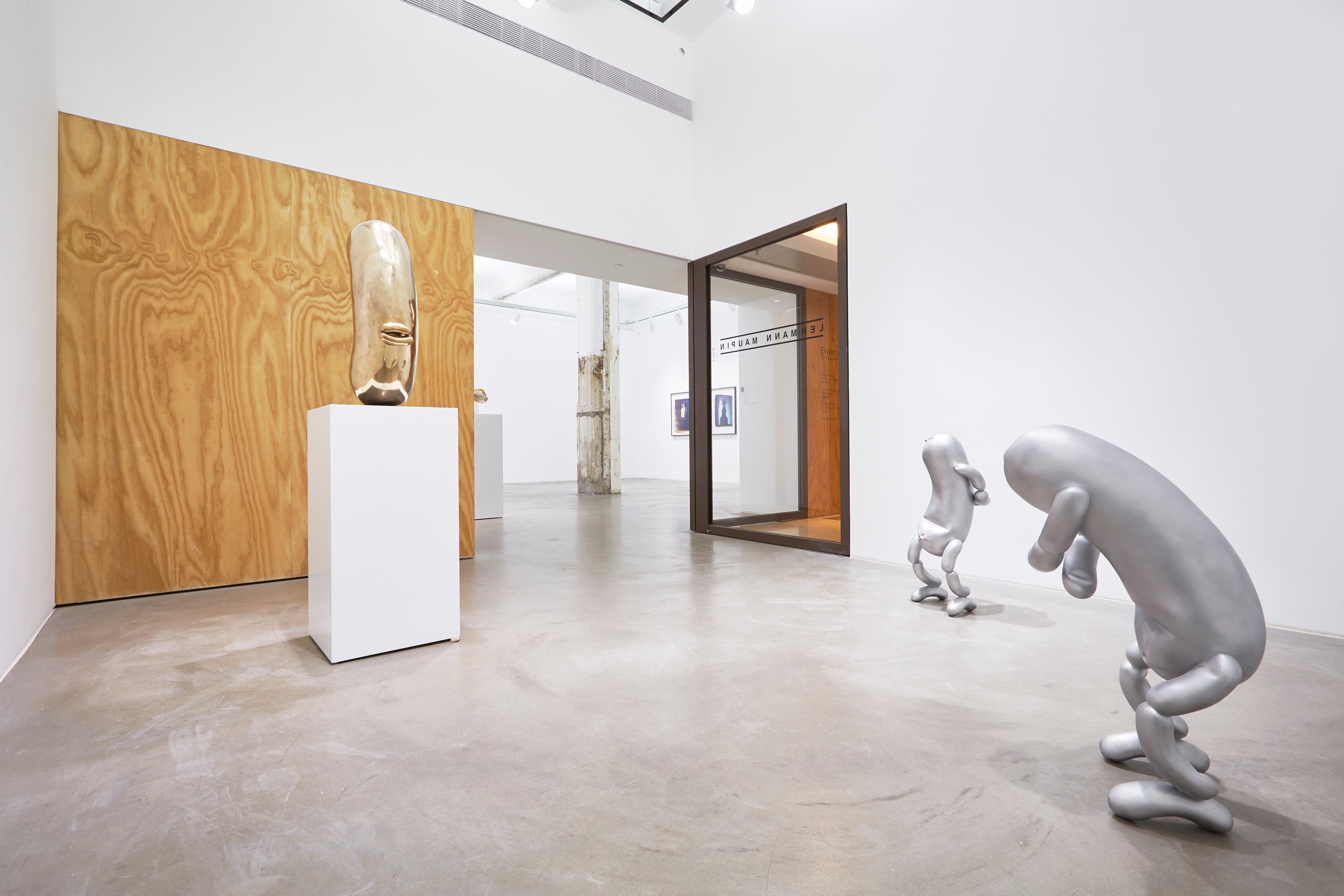 Installation view of Erwin Wurm at Lehmann Maupin Hong Kong