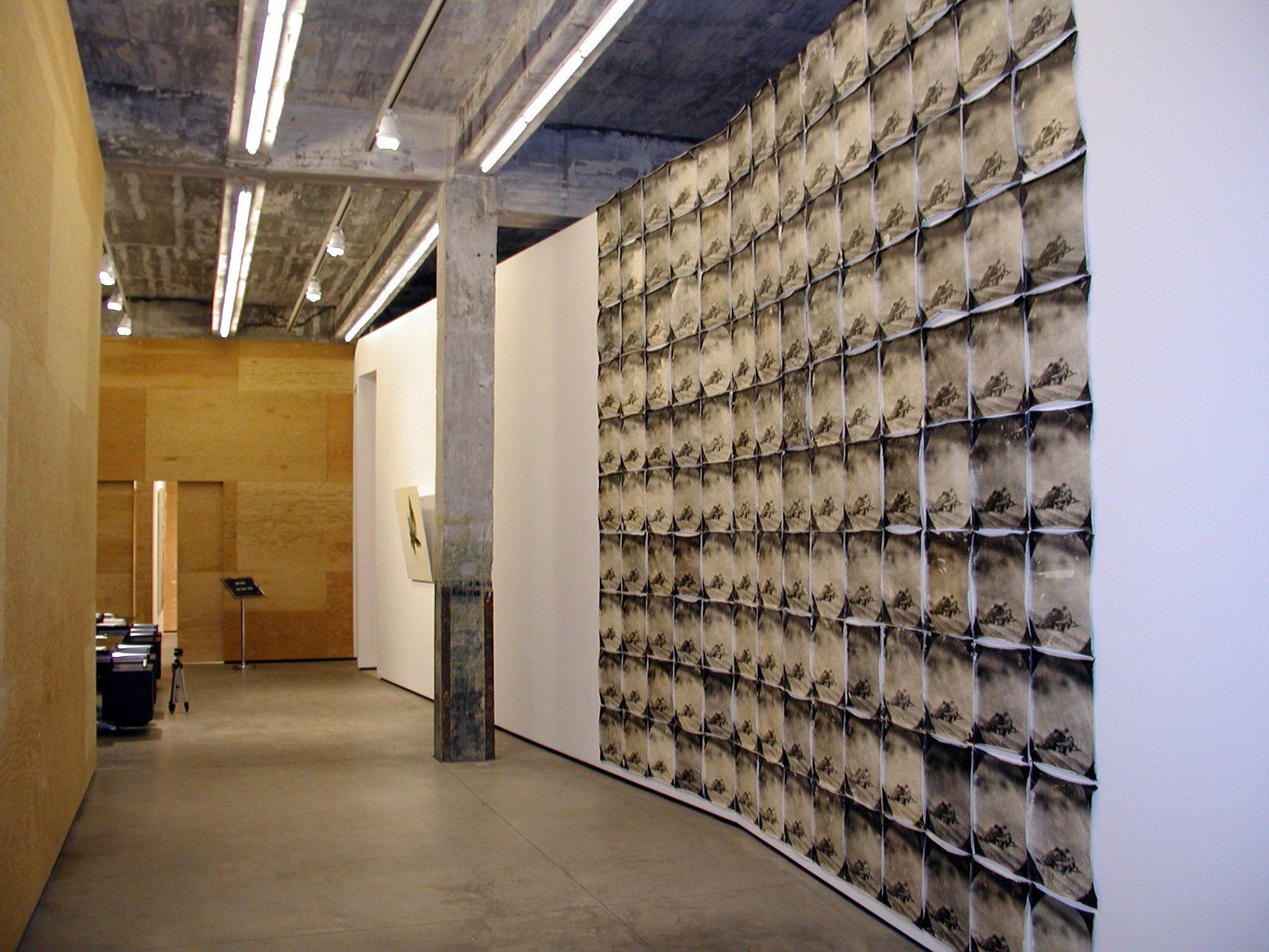 Installation view of Doug & Mike Starn at Lehmann Maupin New York