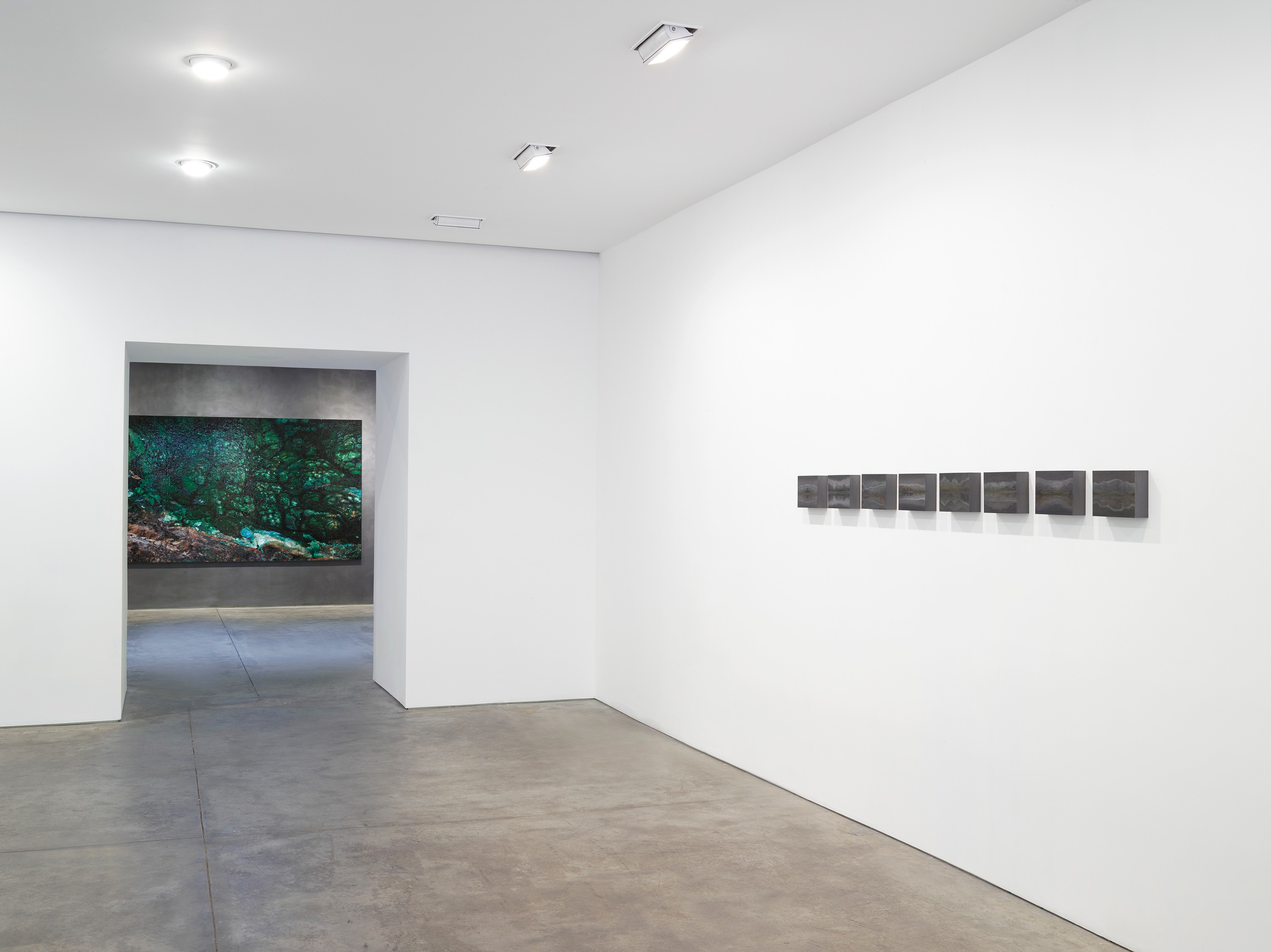 Installation view of Teresita Fernández at Lehmann Maupin New York