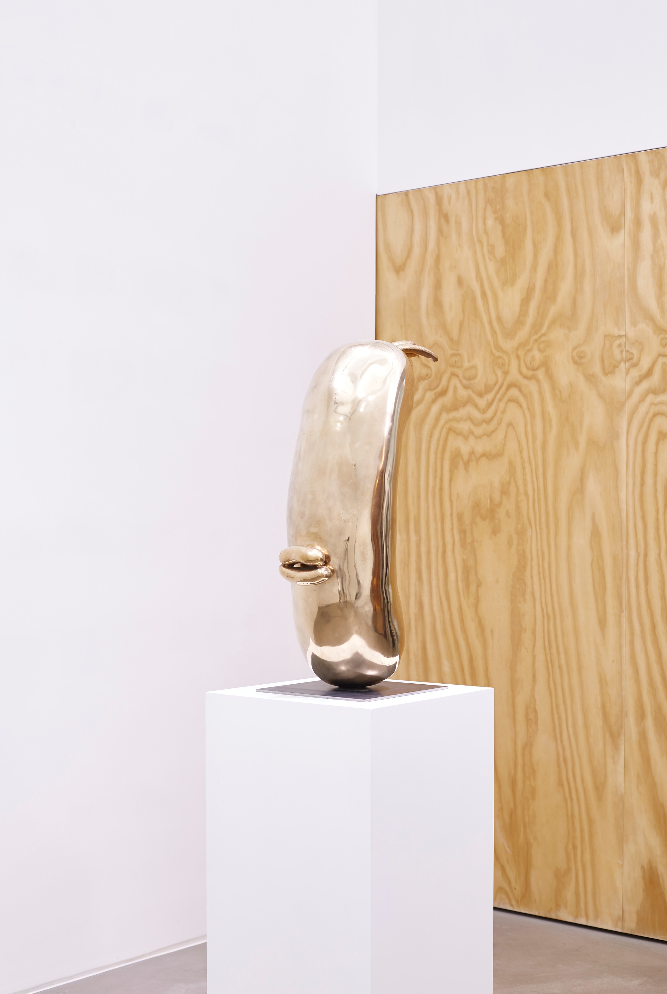 Installation view of Erwin Wurm at Lehmann Maupin Hong Kong