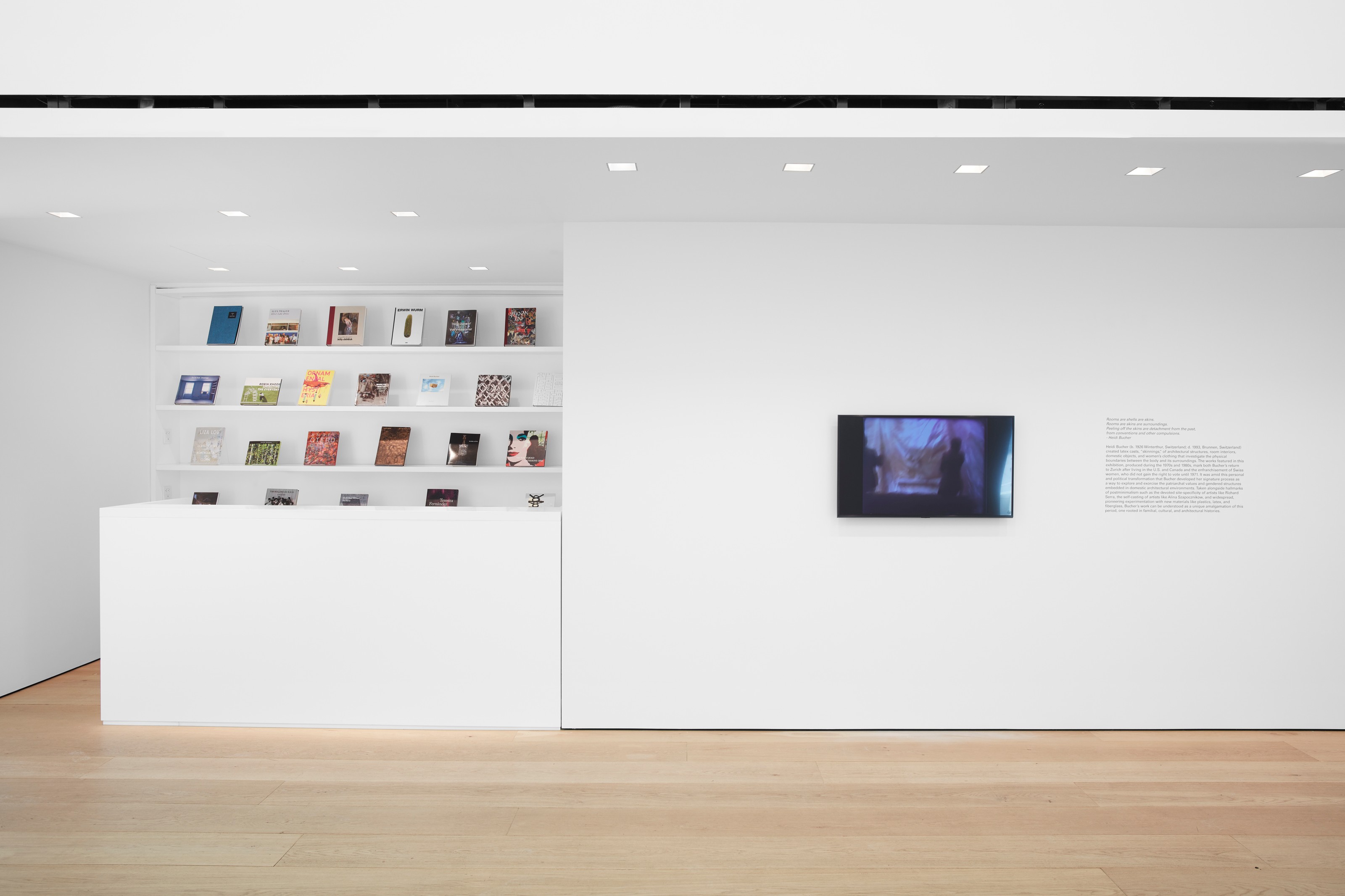 Installation view of Heidi Bucher at Lehmann Maupin New York