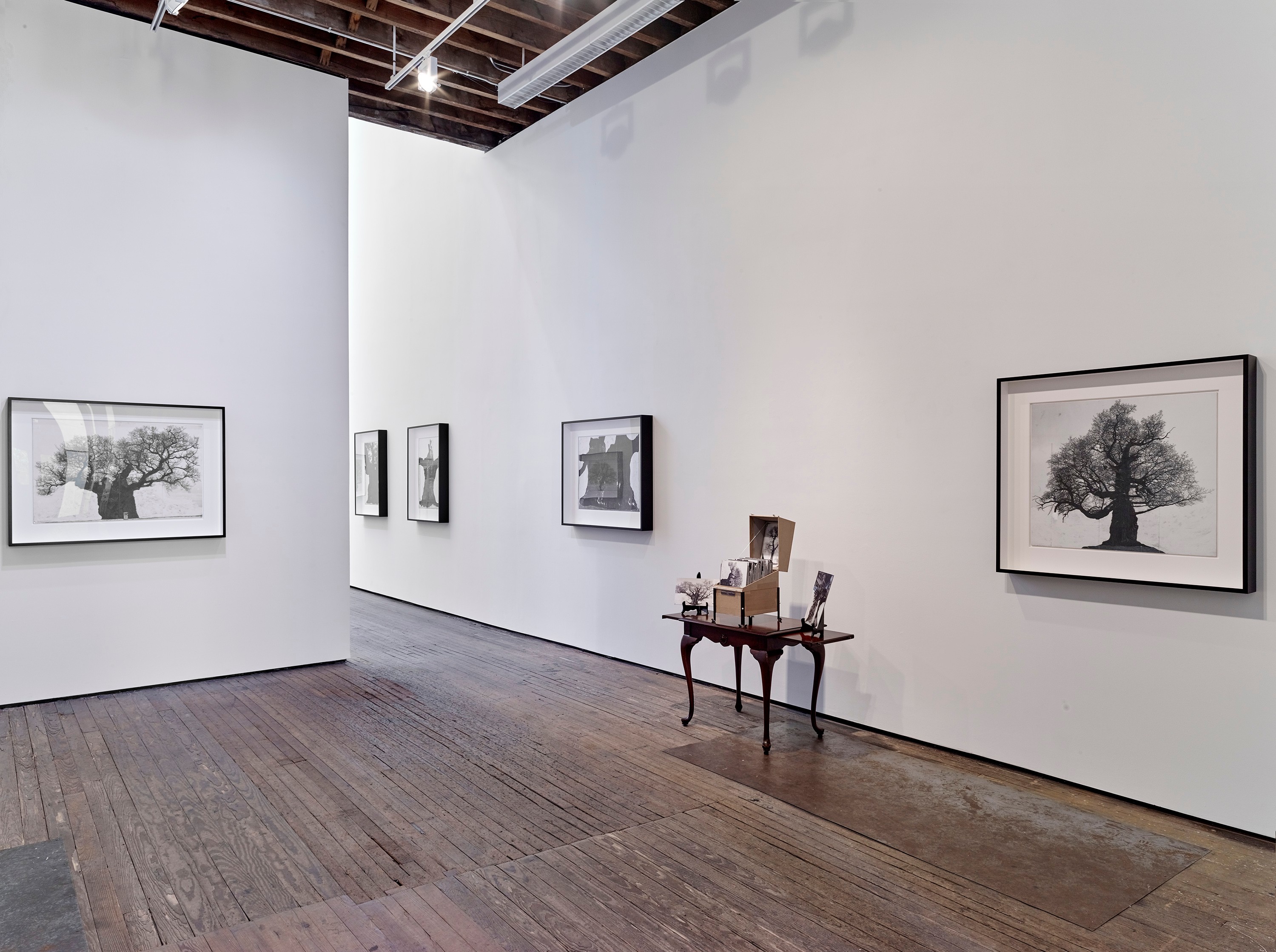 Installation view of Patrick Van Caeckenberg at Lehmann Maupin New York