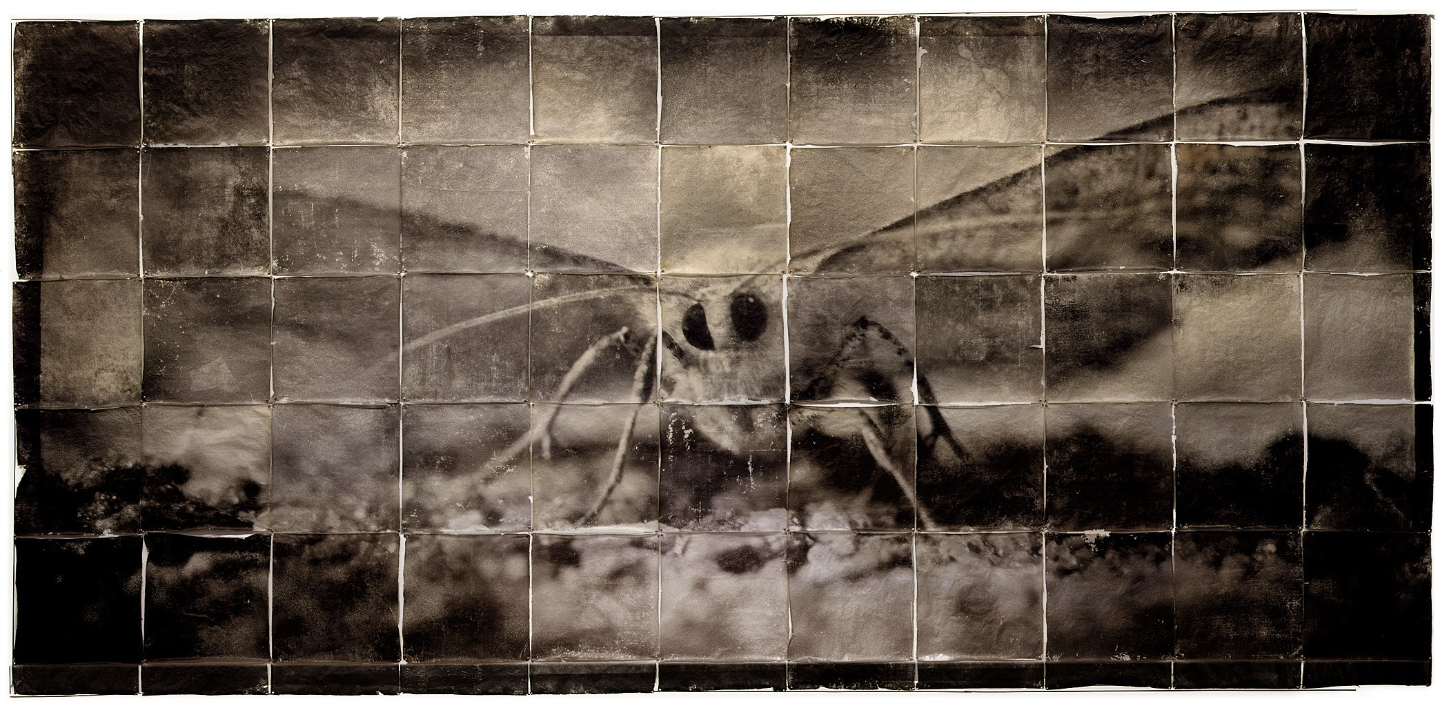Photograph by Doug & Mike Starn