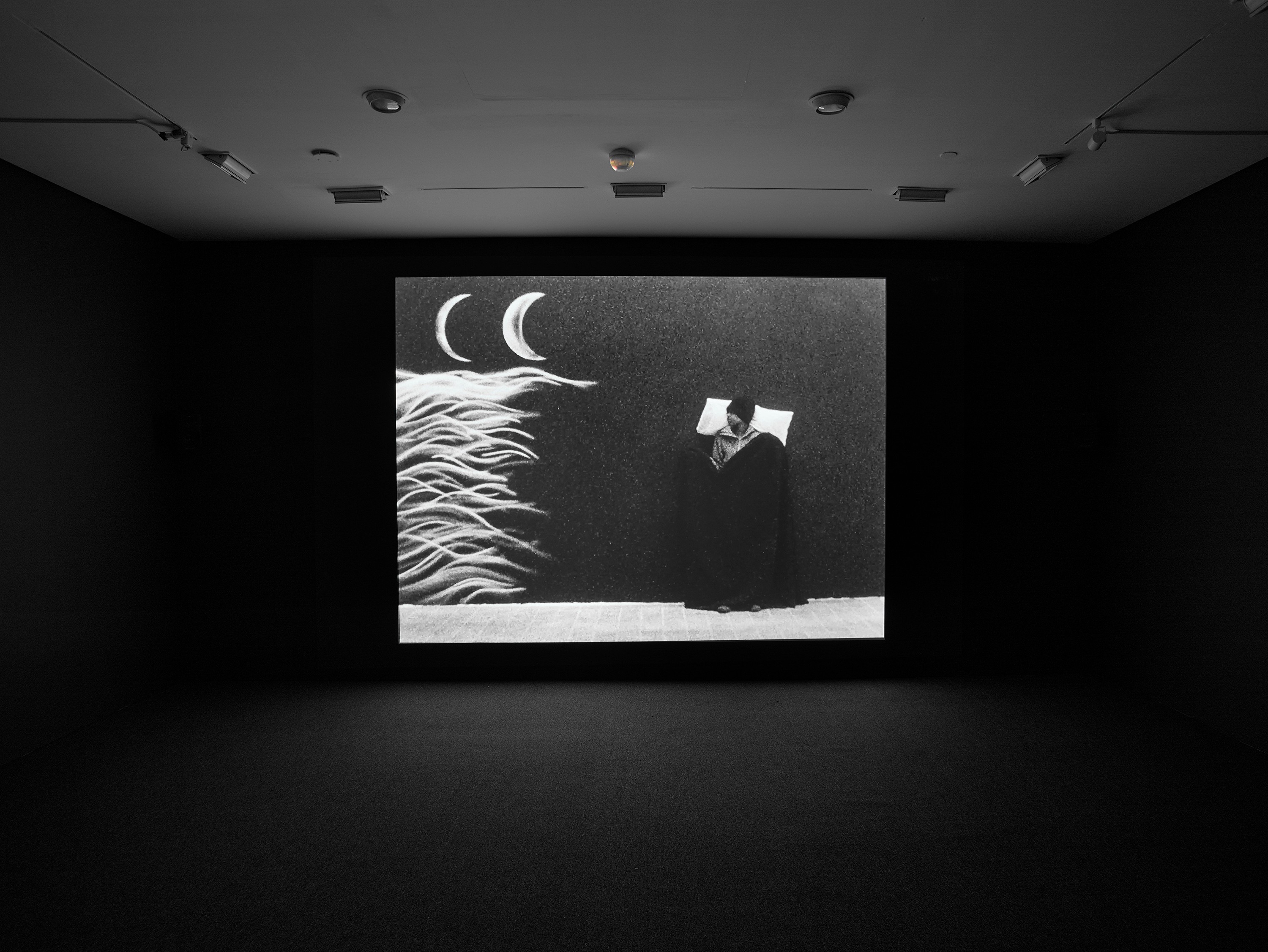 Installation view of Robin Rhode at Lehmann Maupin New York