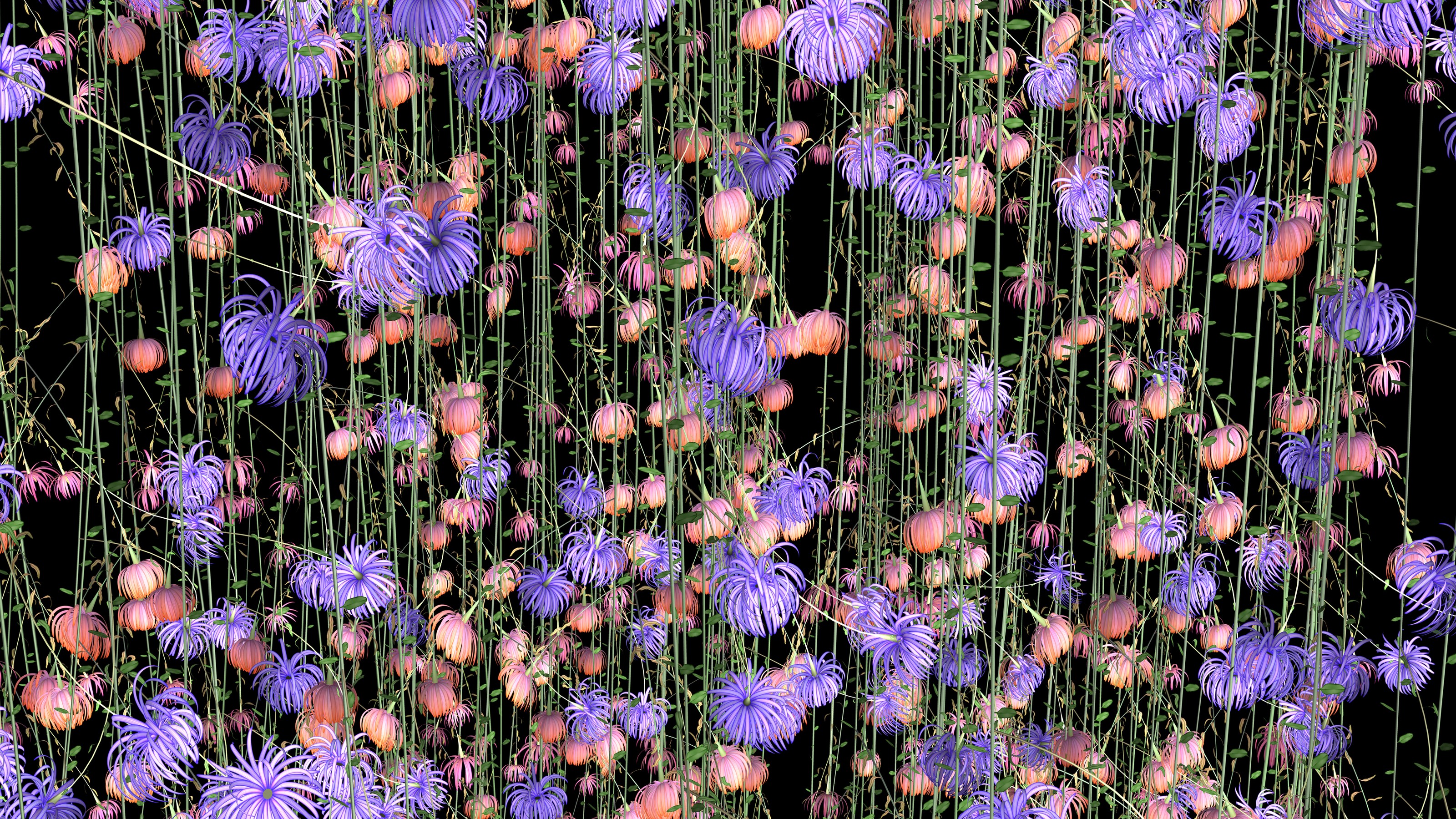 Video installation by Jennifer Steinkamp