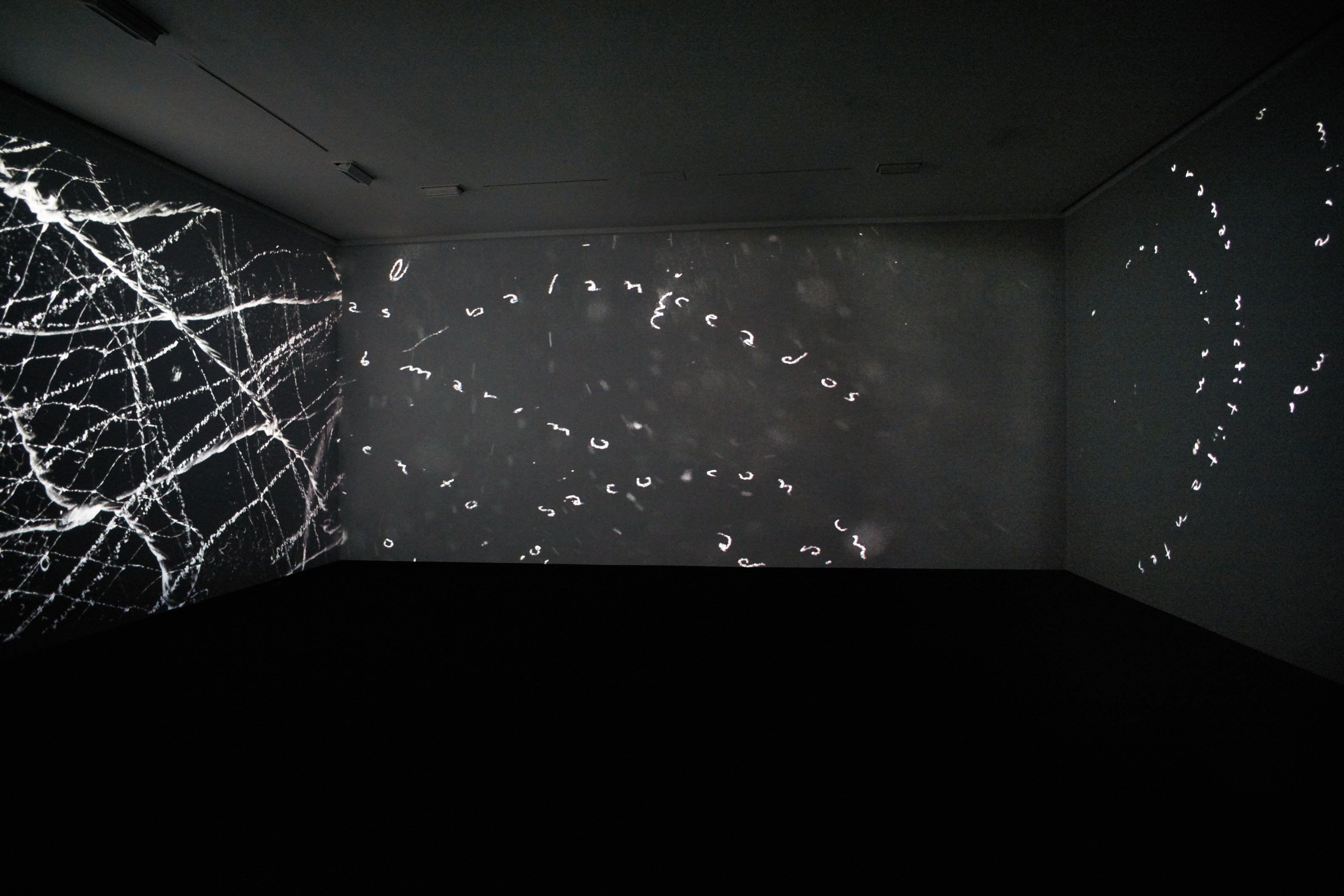 Installation view of Cecilia Vicuña at Lehmann Maupin New York