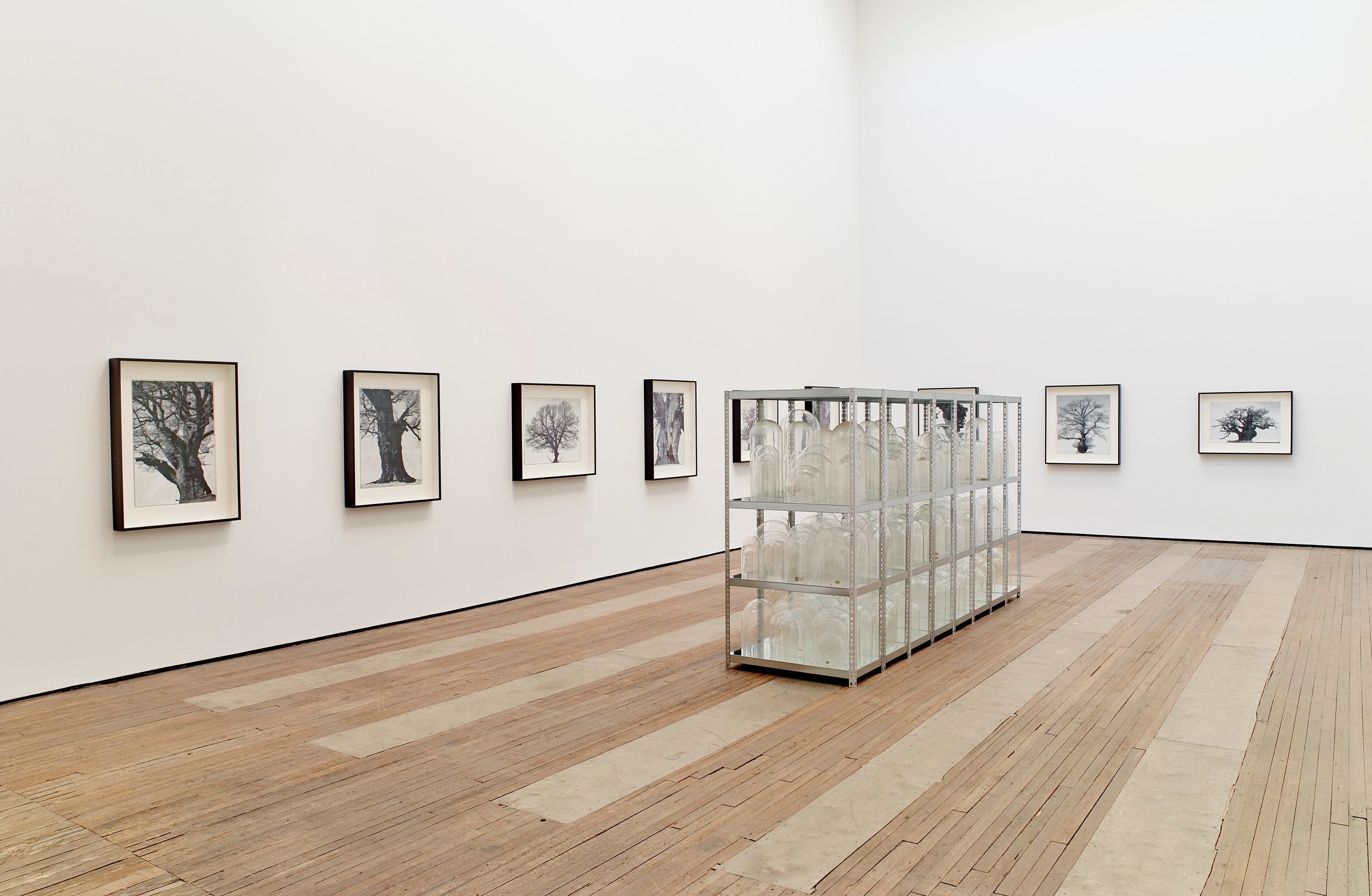 Installation view of Patrick Van Caeckenberg at Lehmann Maupin New York