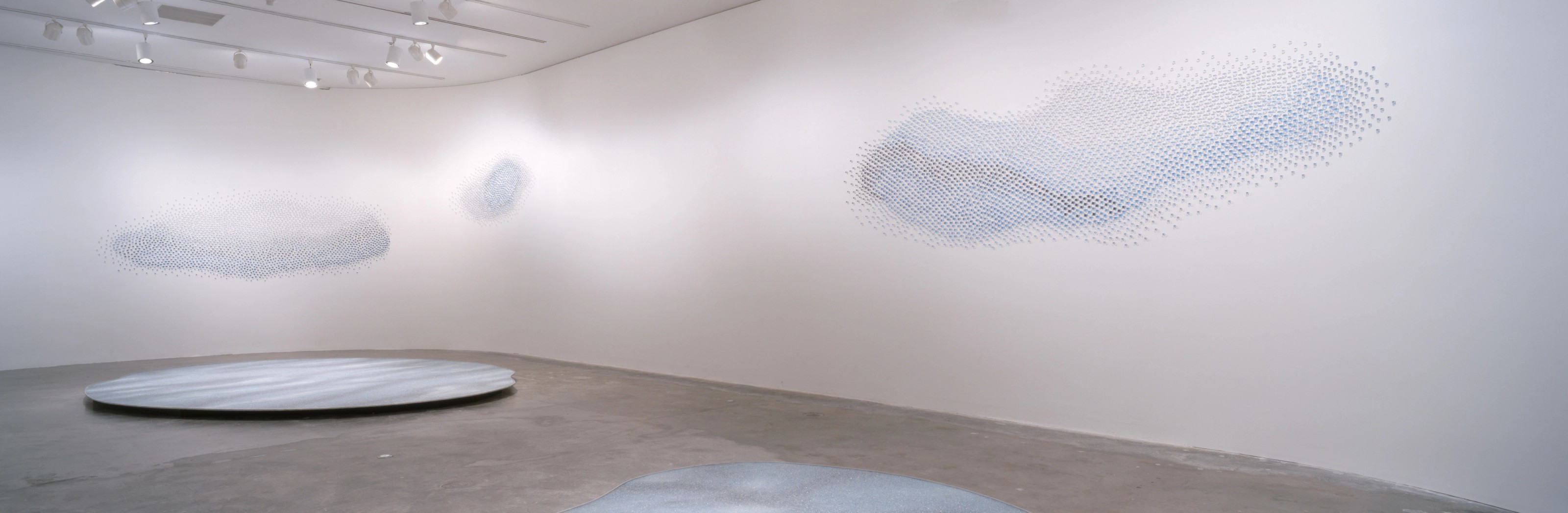 Installation view of Teresita Fernández at Miami Art Museum
