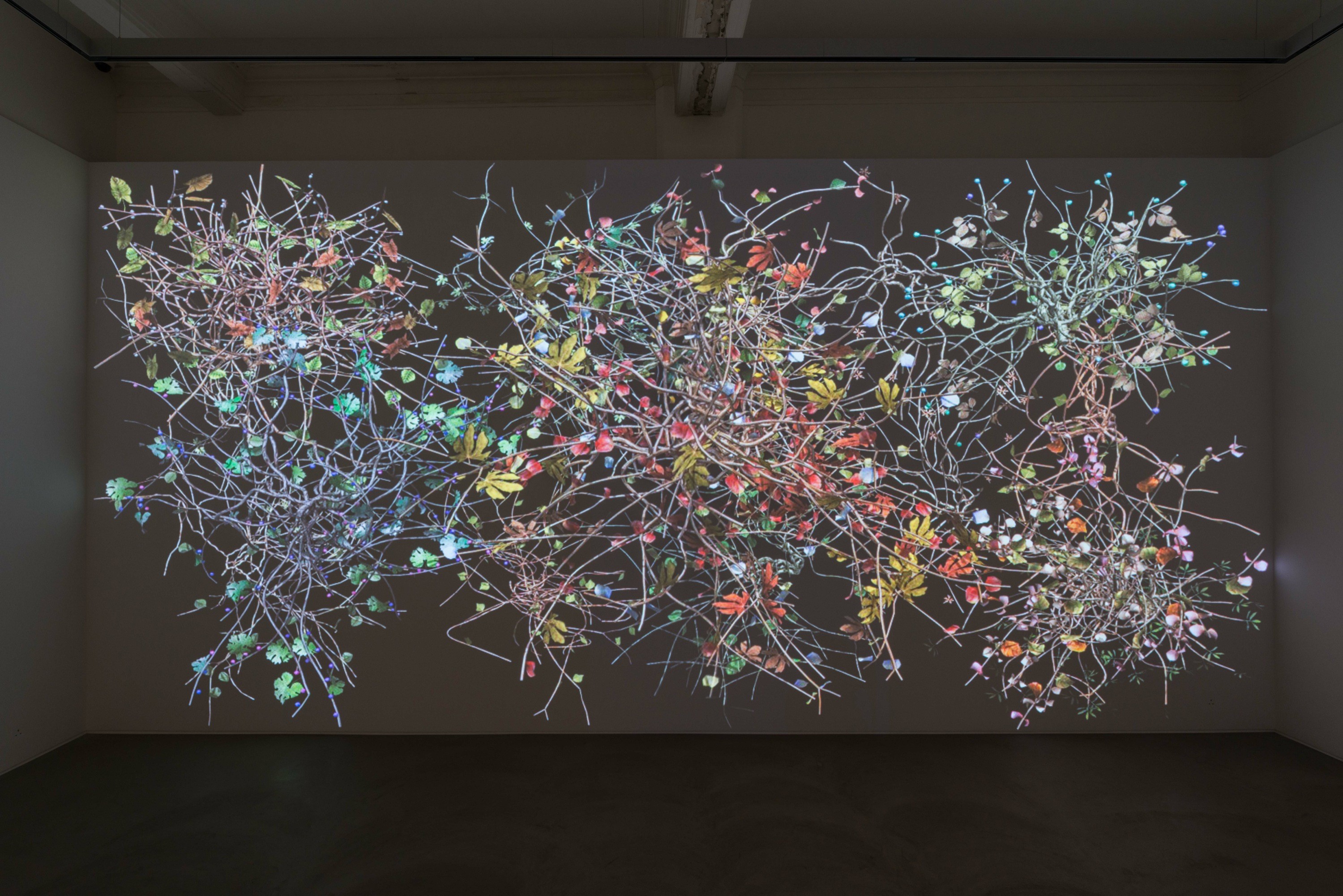 Installation view of Diaspore at Lehmann Maupin Hong Kong