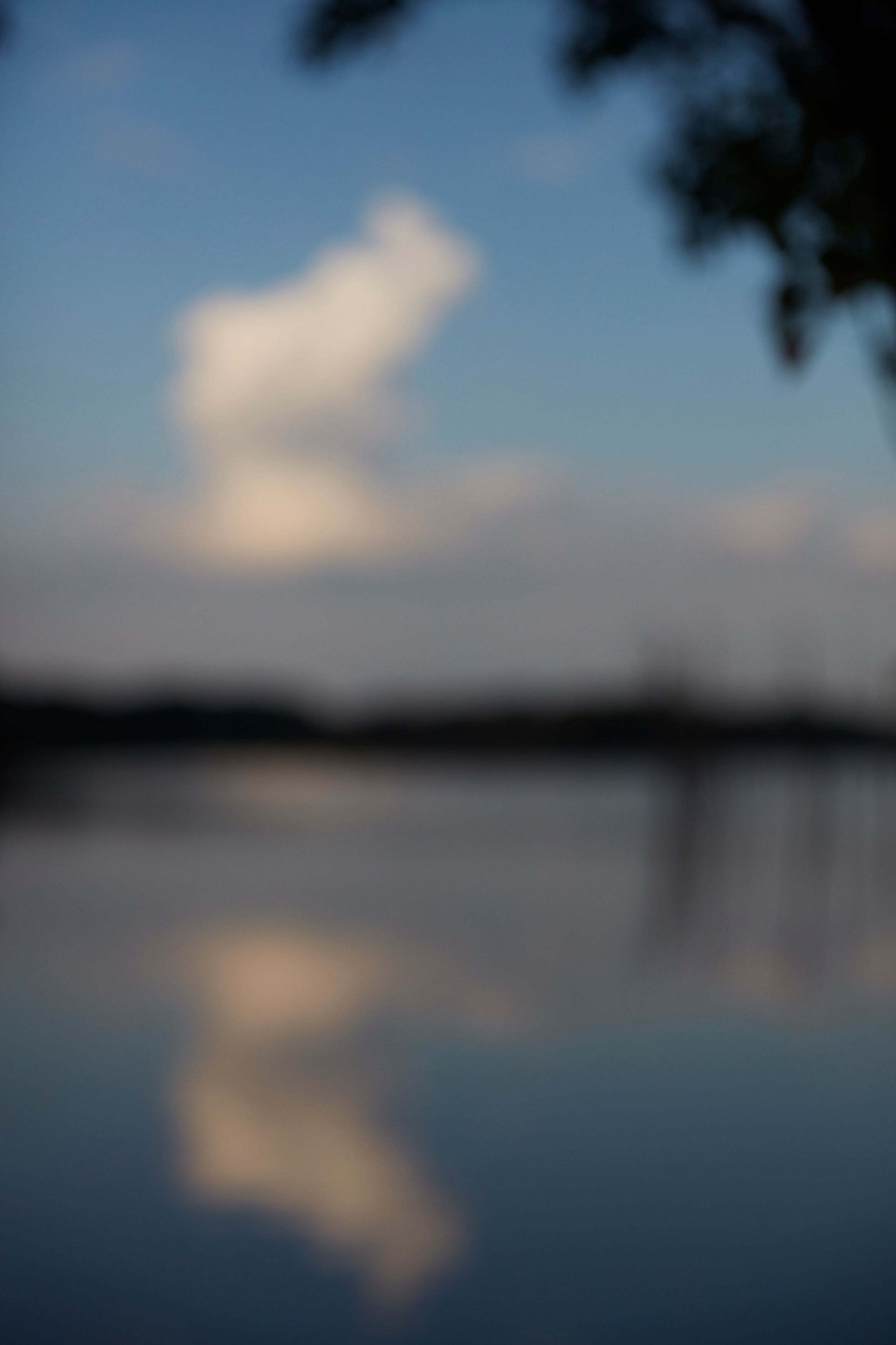 Photograph by Catherine Opie