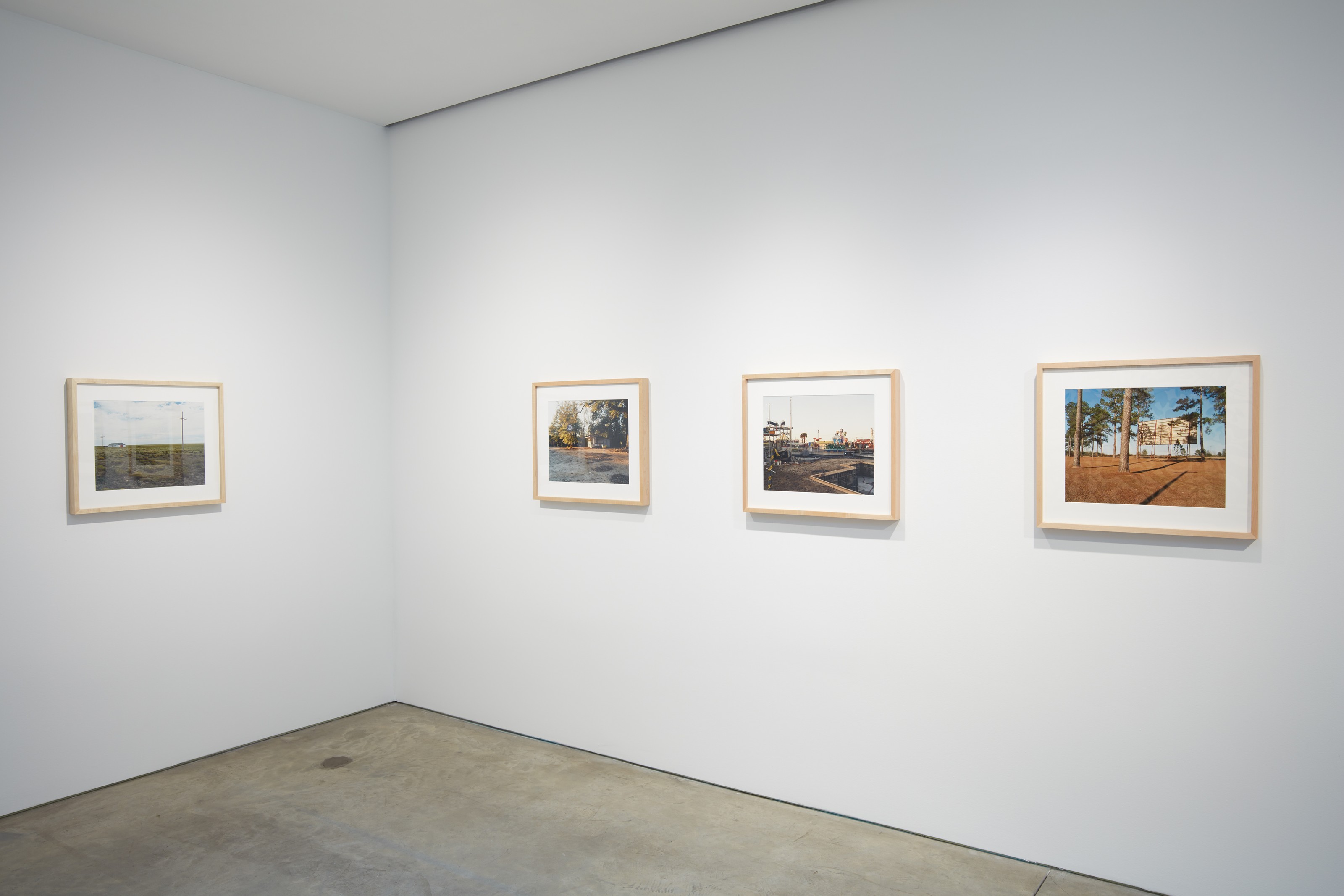 Installation view of American Landscape at Lehmann Maupin New York