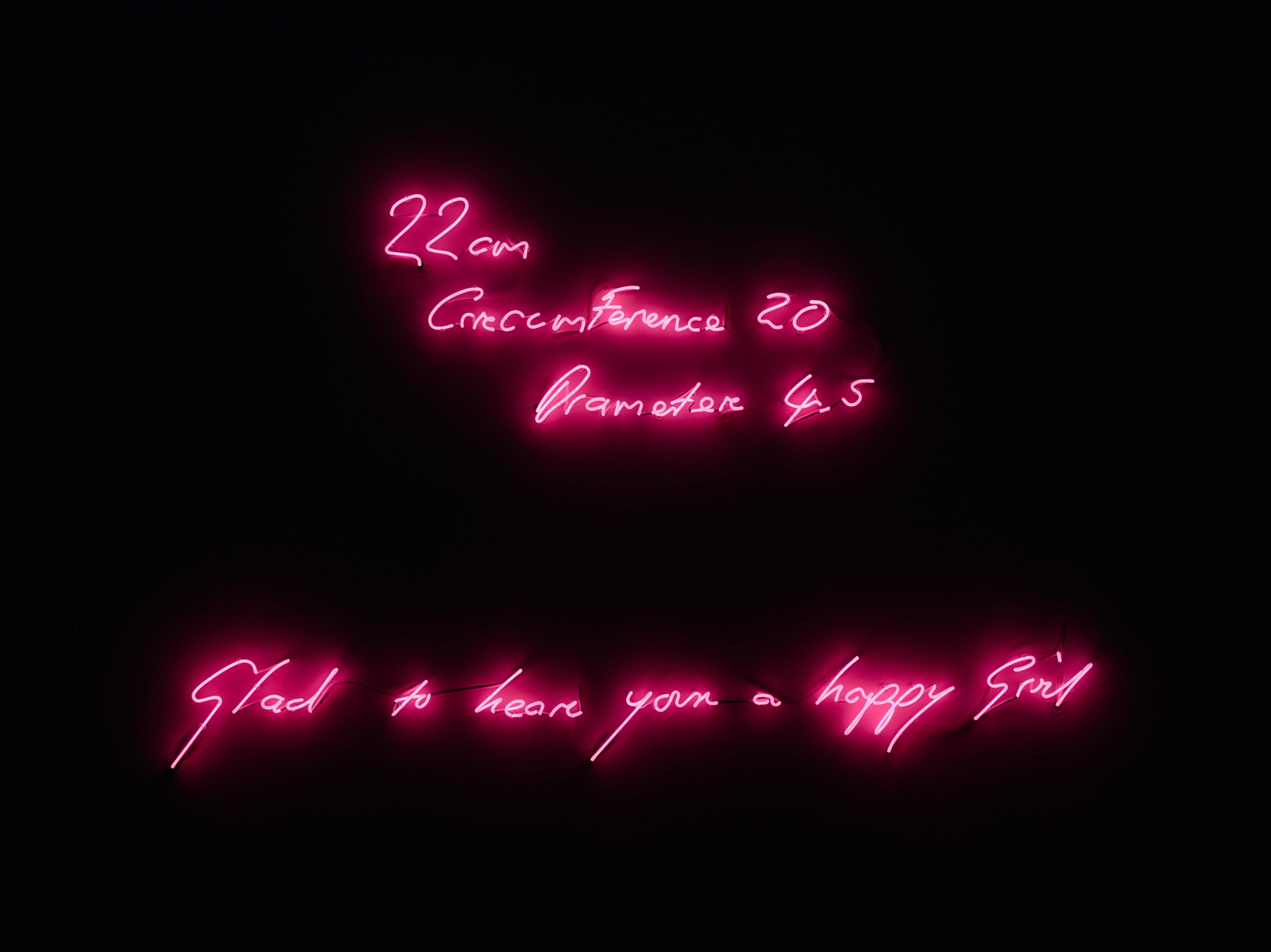 Neon sculpture by Tracey Emin