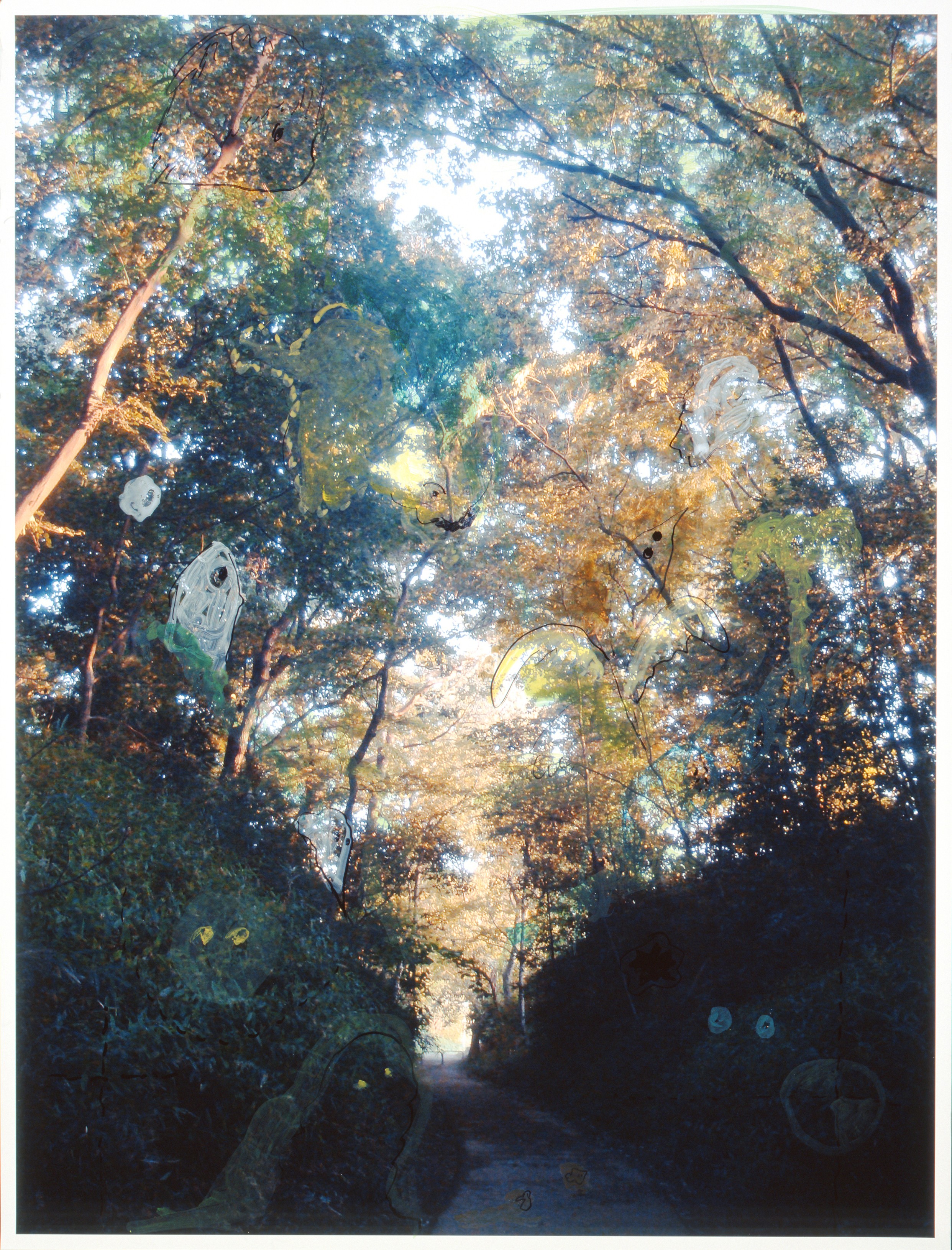 Photograph by Rei Sato