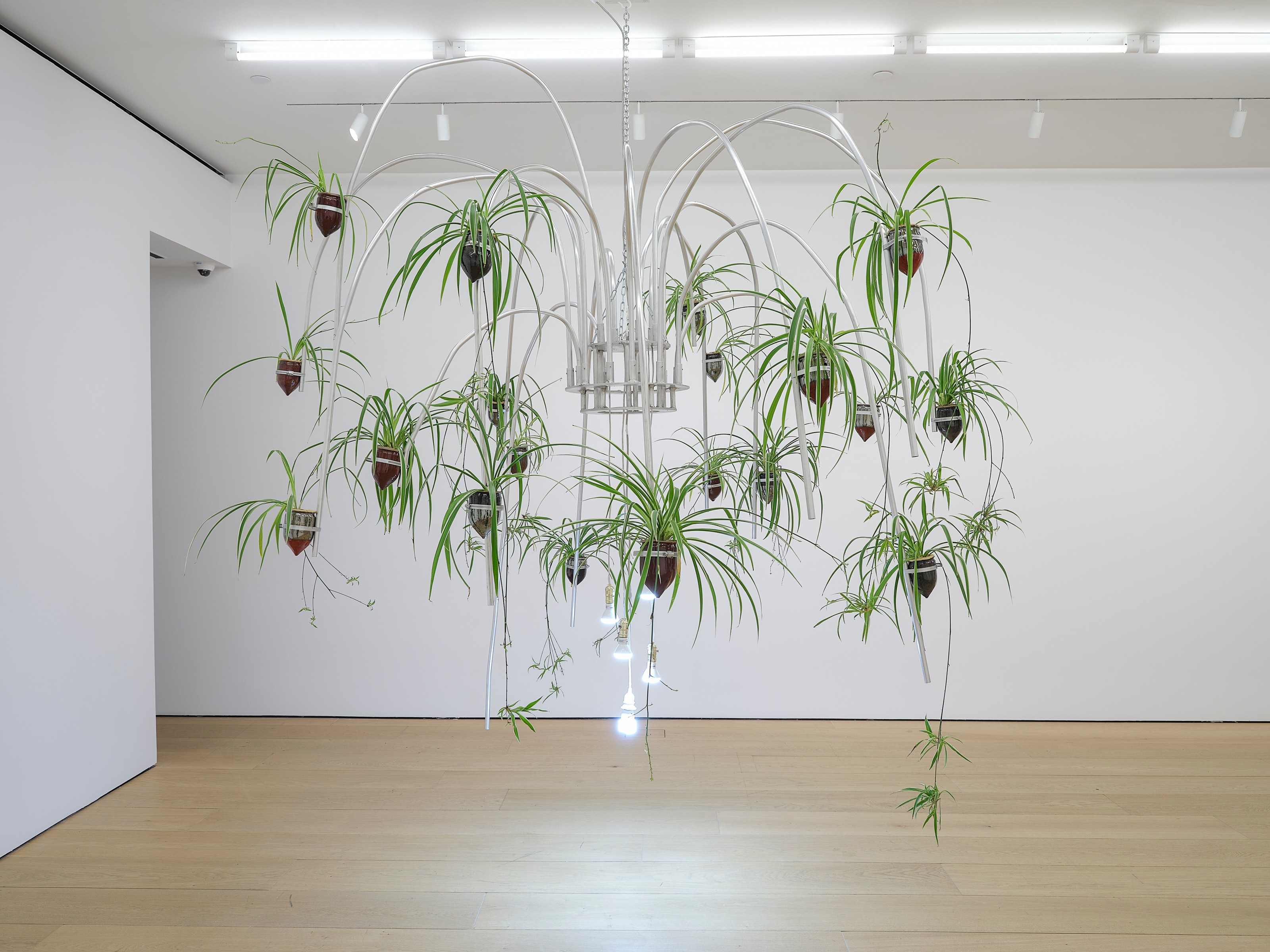 Sculpture by Jeffrey Meris
