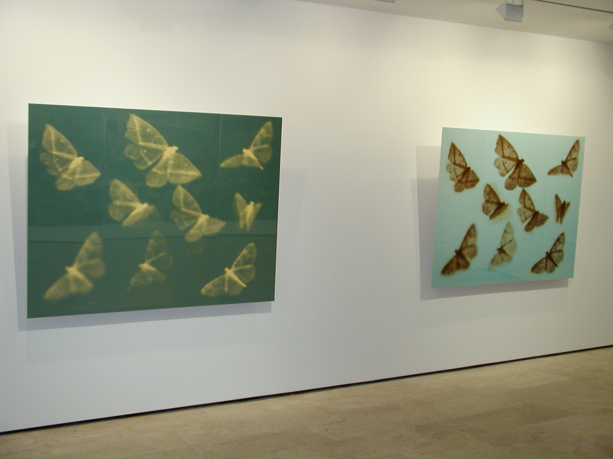 Installation view of Doug & Mike Starn at Lehmann Maupin New York