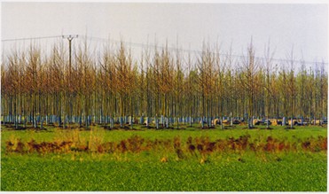 Photograph by Jörg Sasse