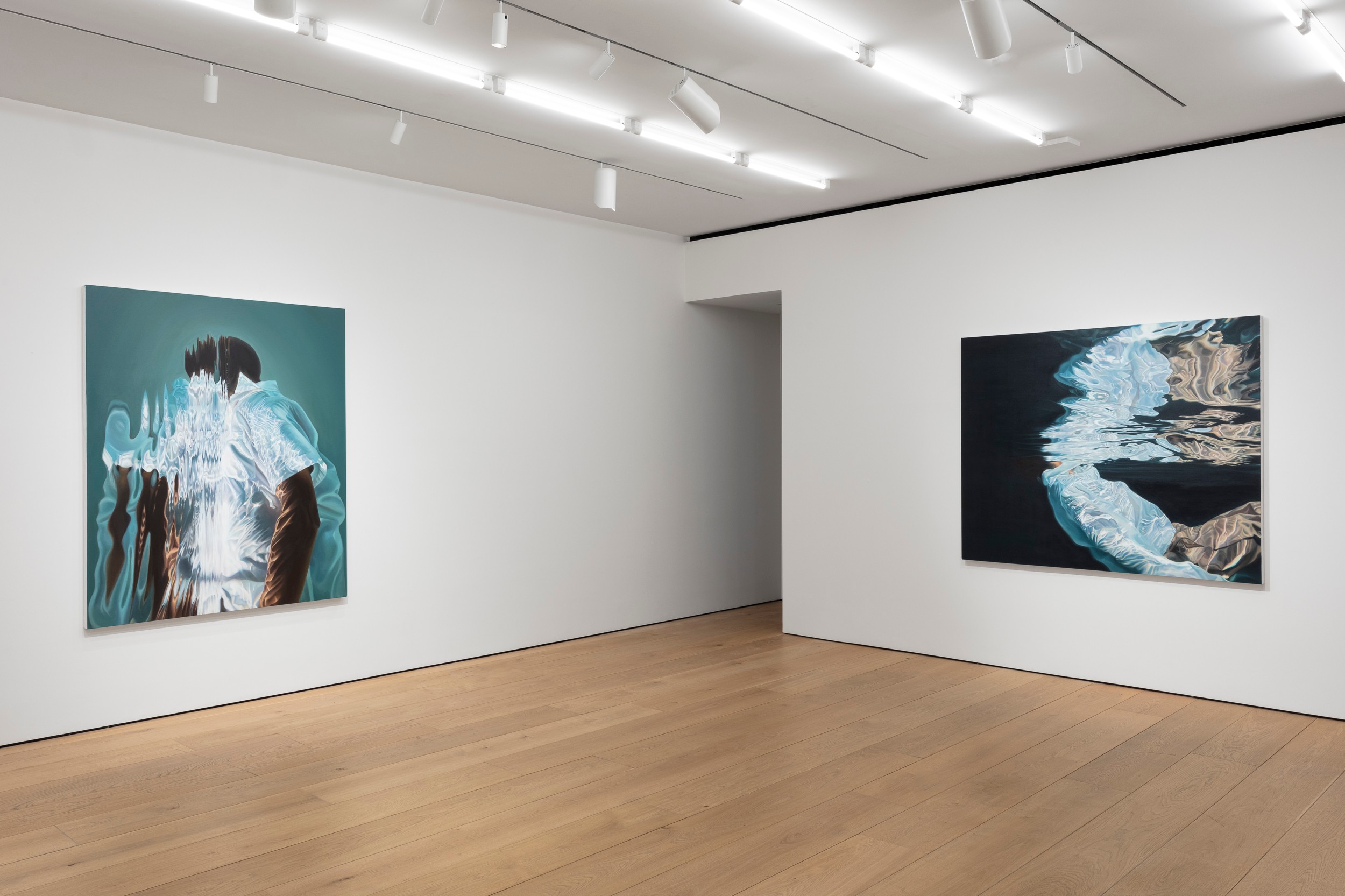 Installation view of Calida Rawles at Lehmann Maupin New York