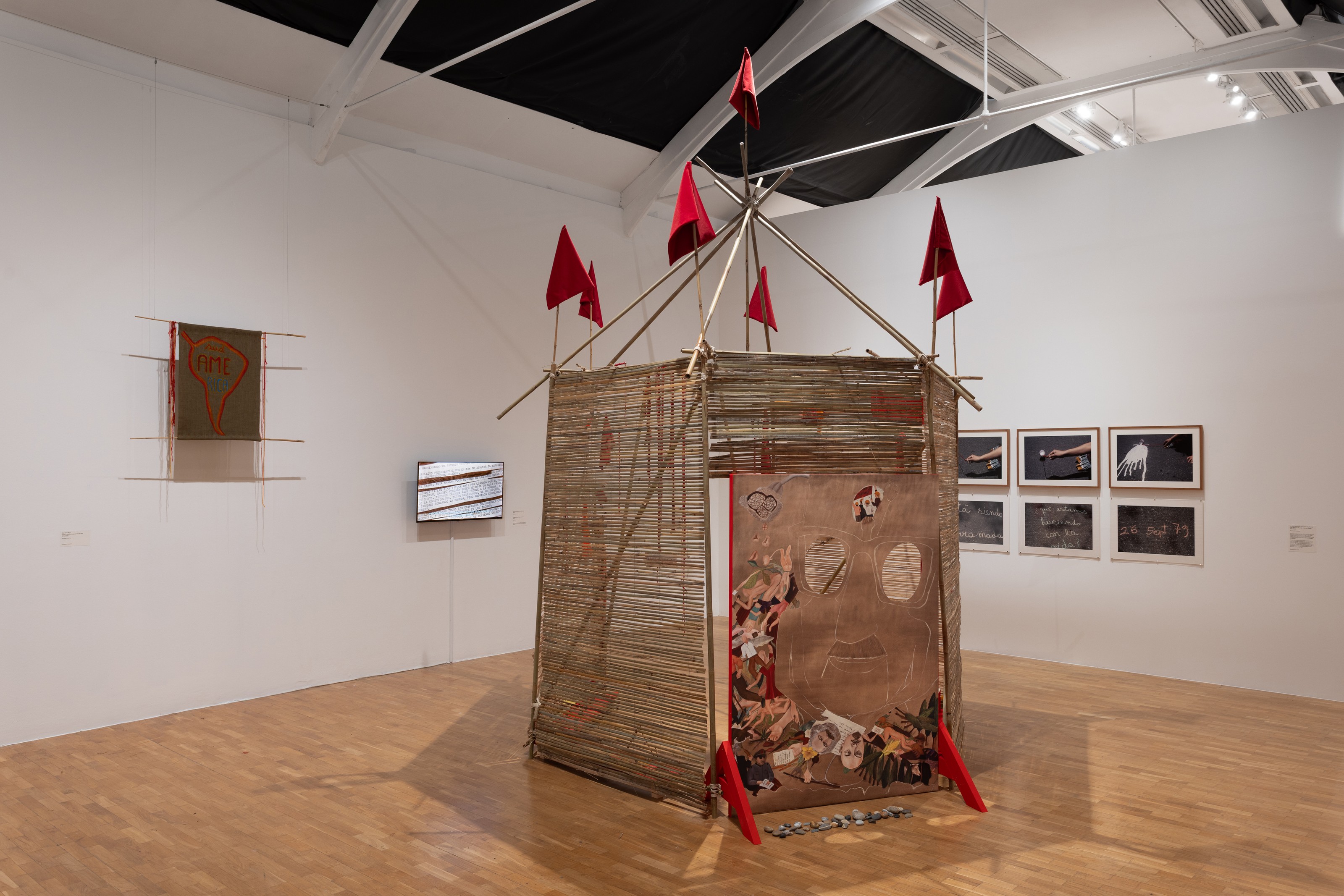 Cecilia Vicuña exhibition