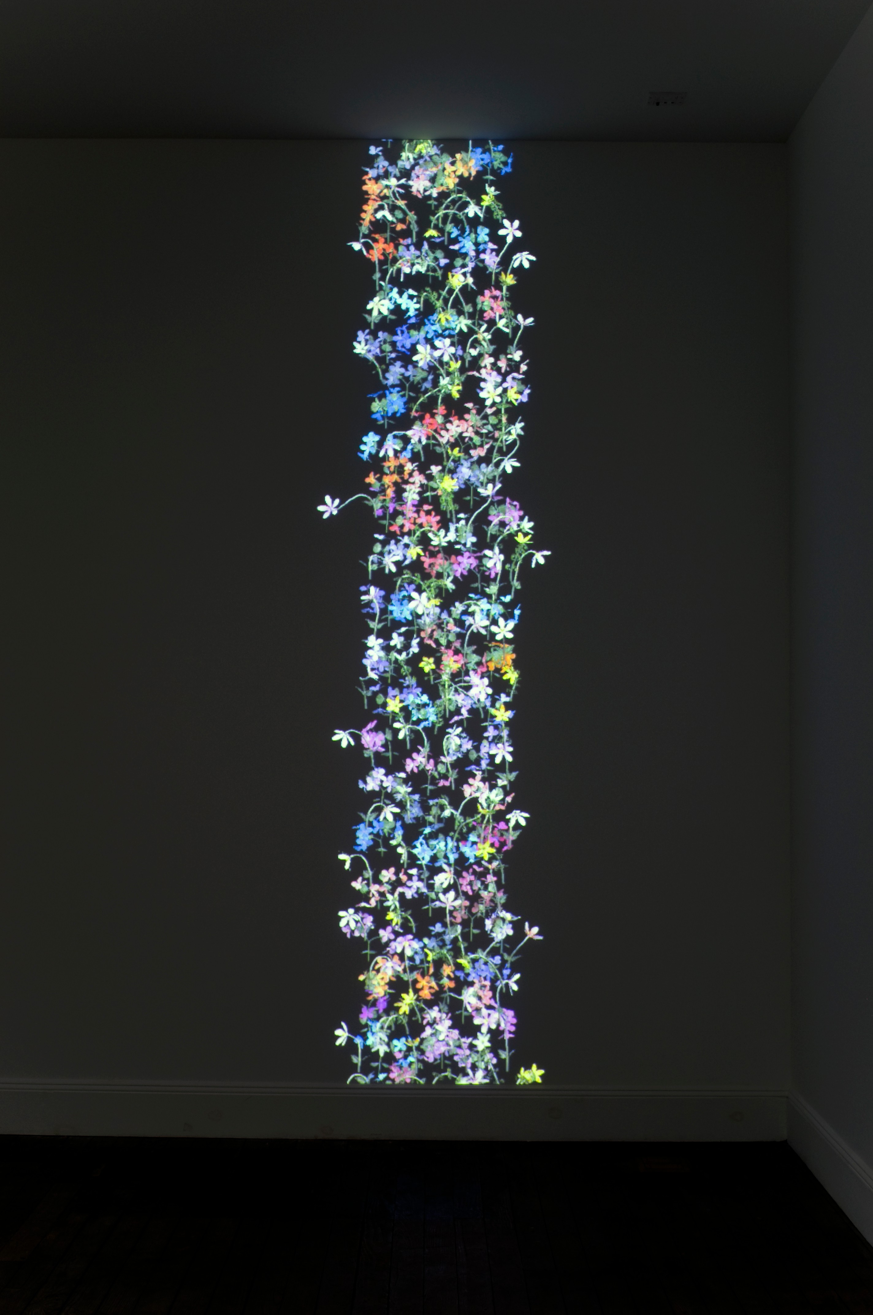 Installation view of Daisy Bell and Left Clavicle at Lehmann Maupin New York