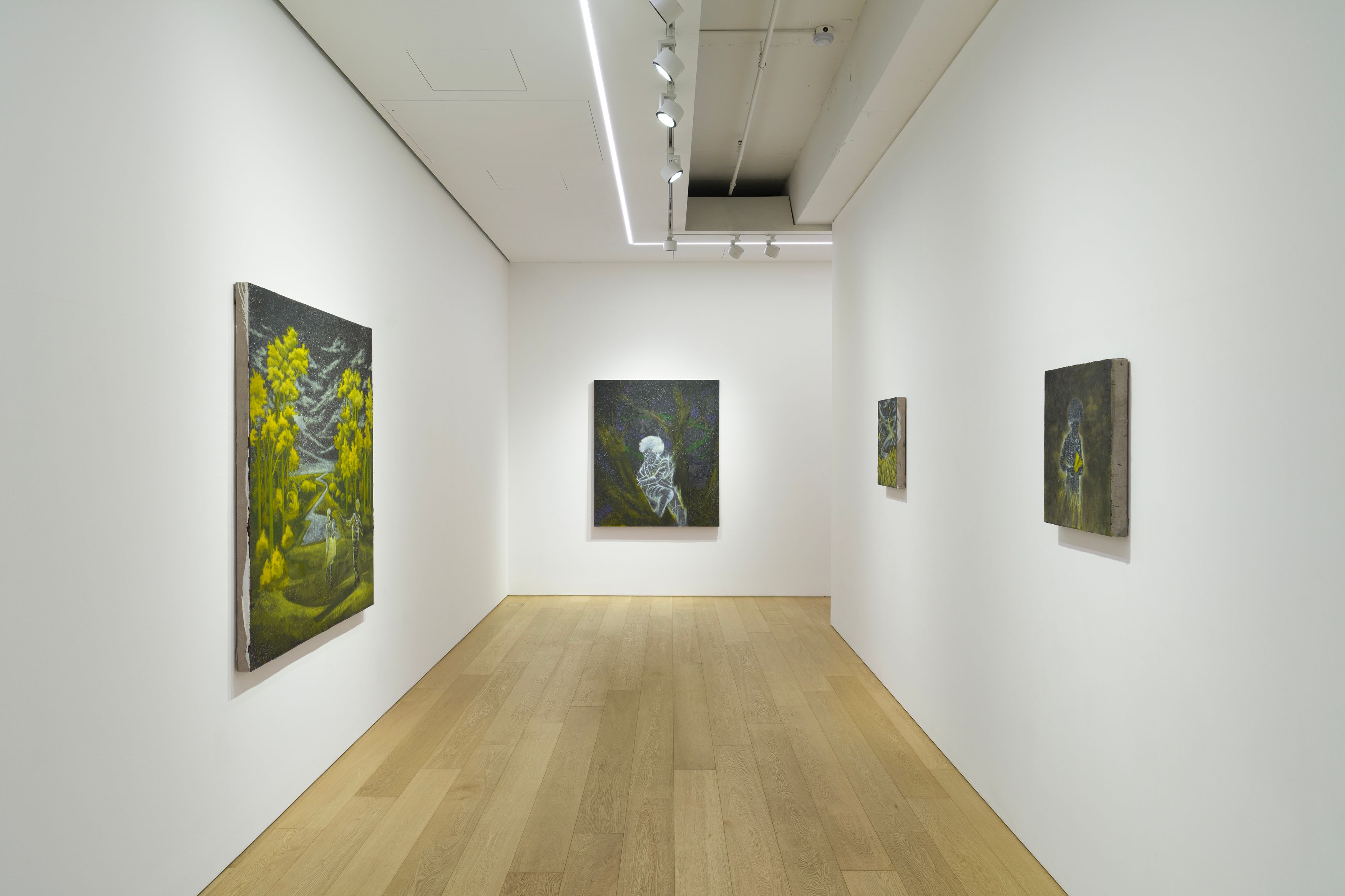 Installation view of Dominic Chambers at Lehmann Maupin Seoul