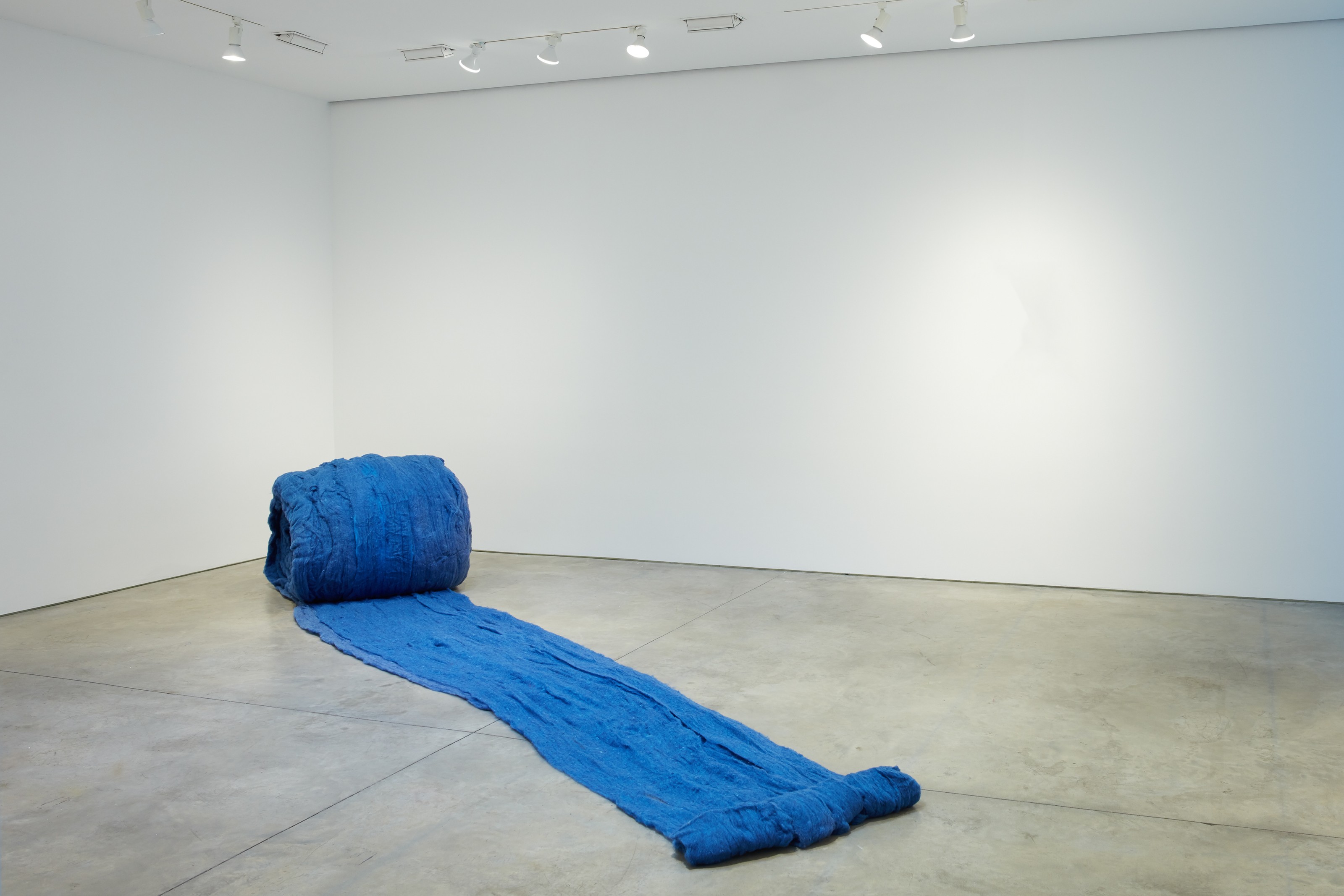 Installation by Cecilia Vicuña
