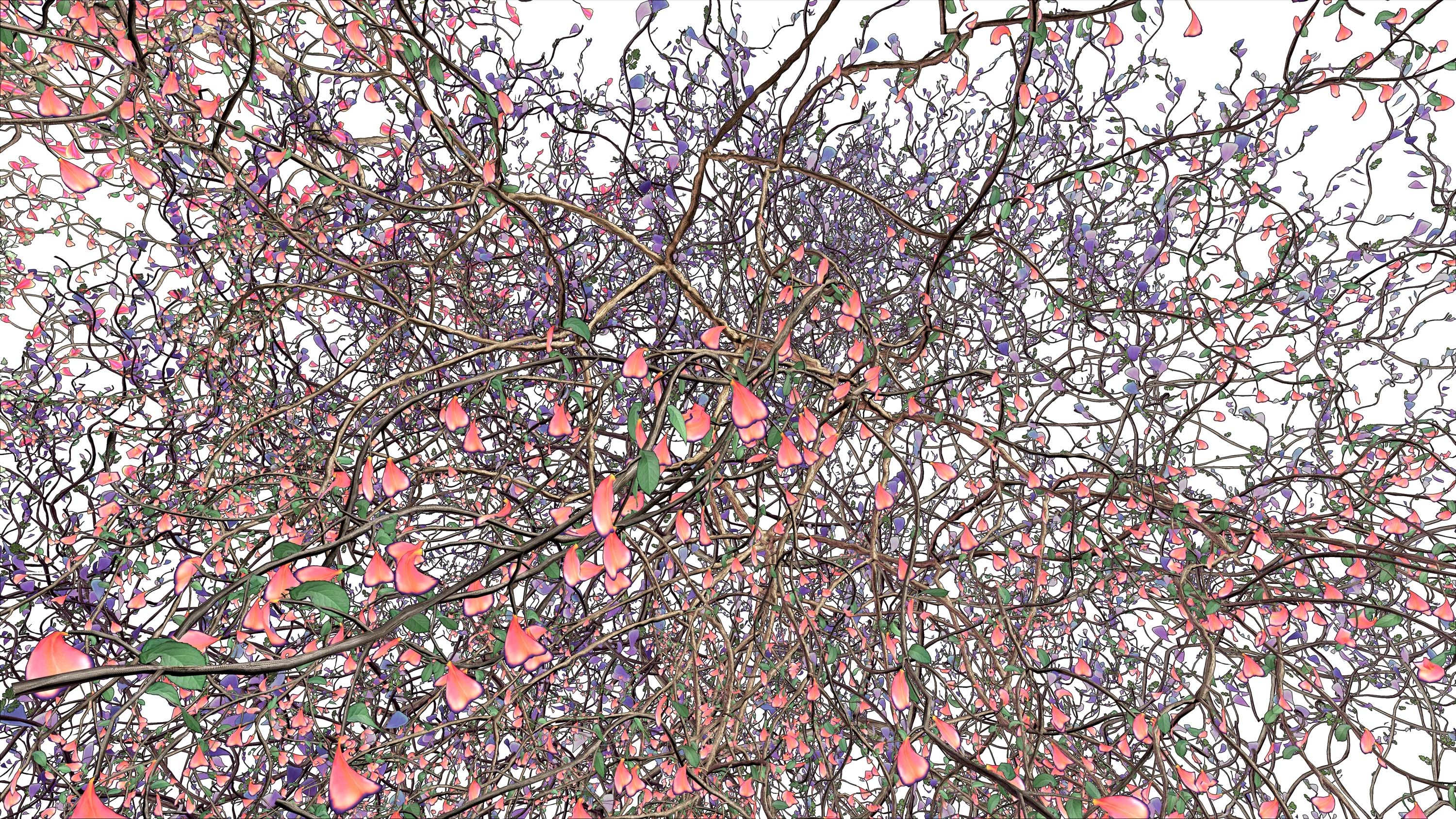 Video installation by Jennifer Steinkamp