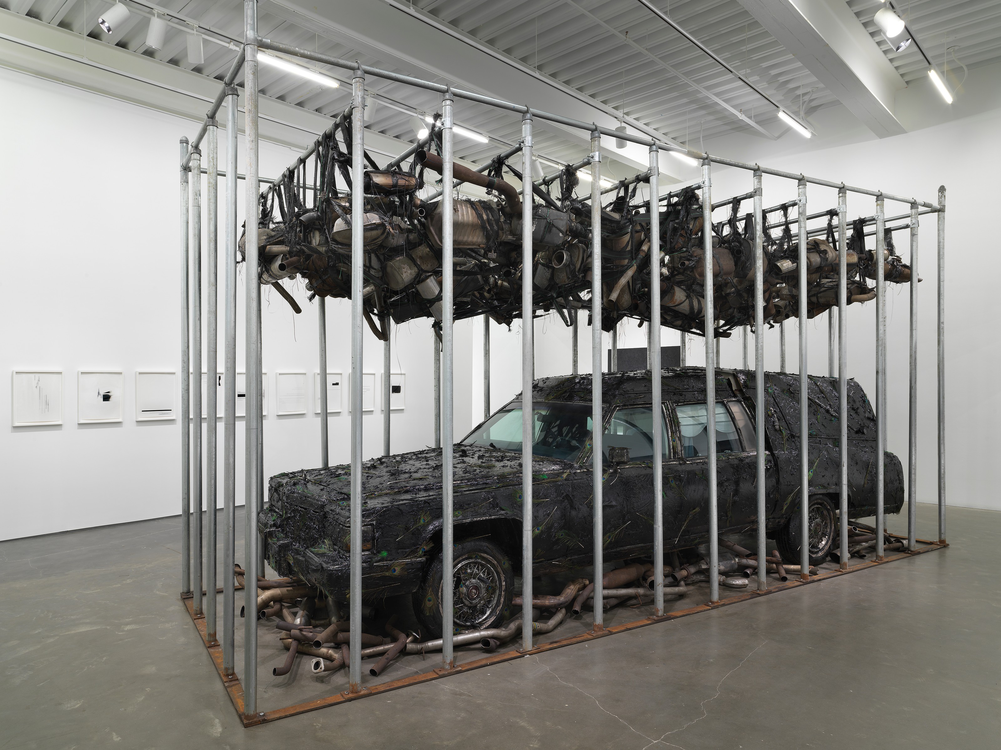 Installation by Nari Ward