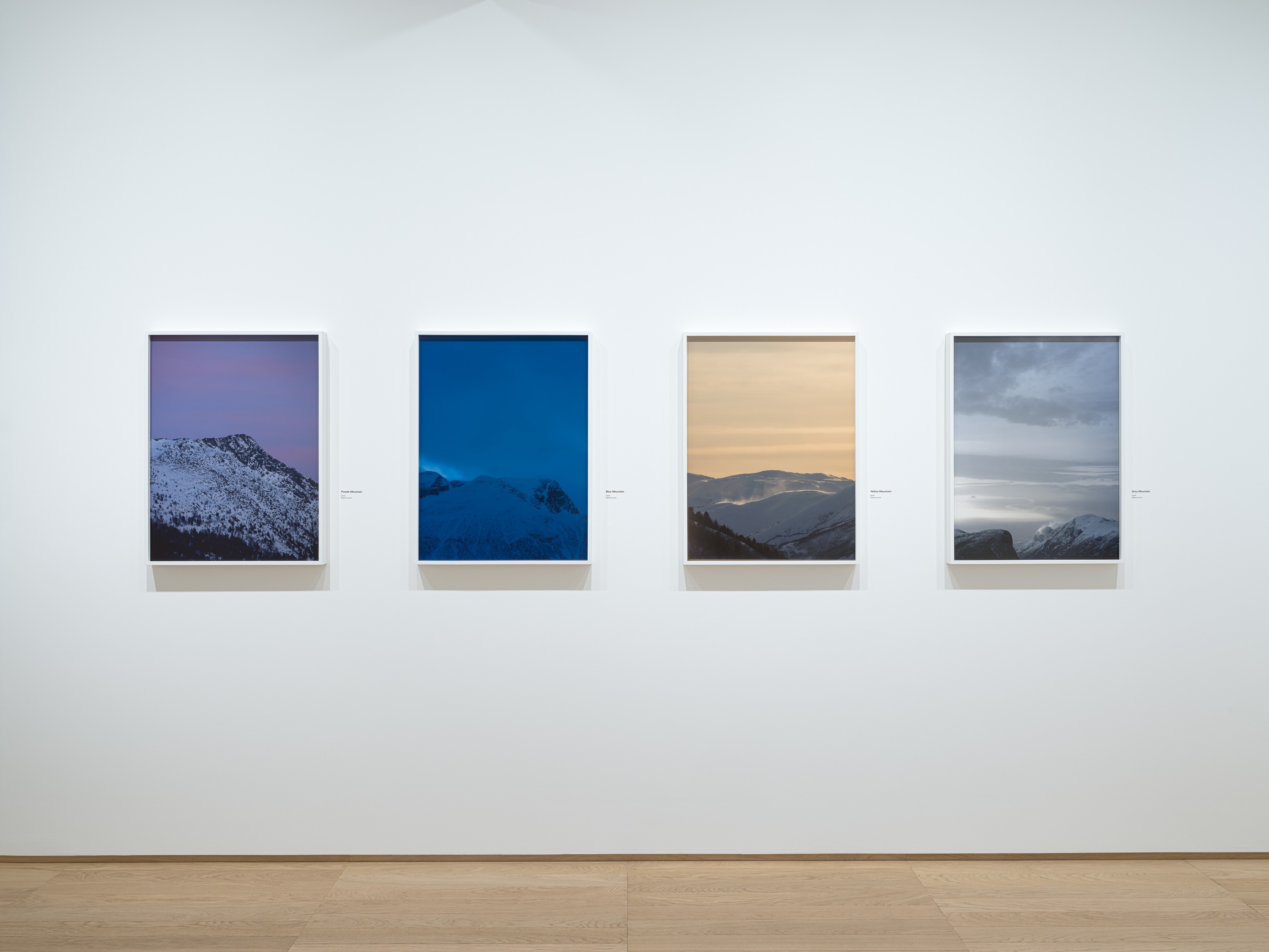Installation view of Mountains Don't Know Their Names at PoMo