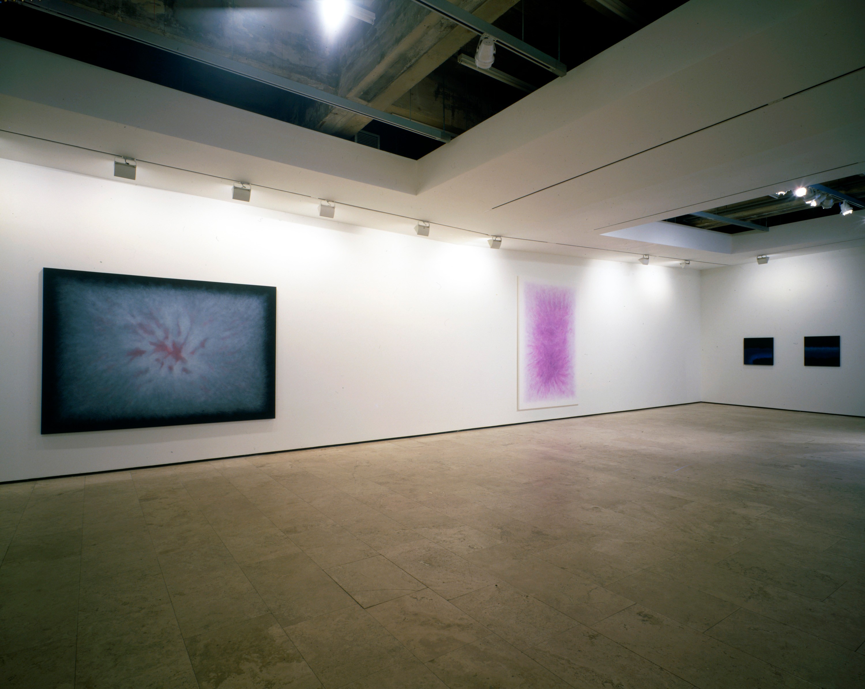 Installation view of Light darkness at Lehmann Maupin New York