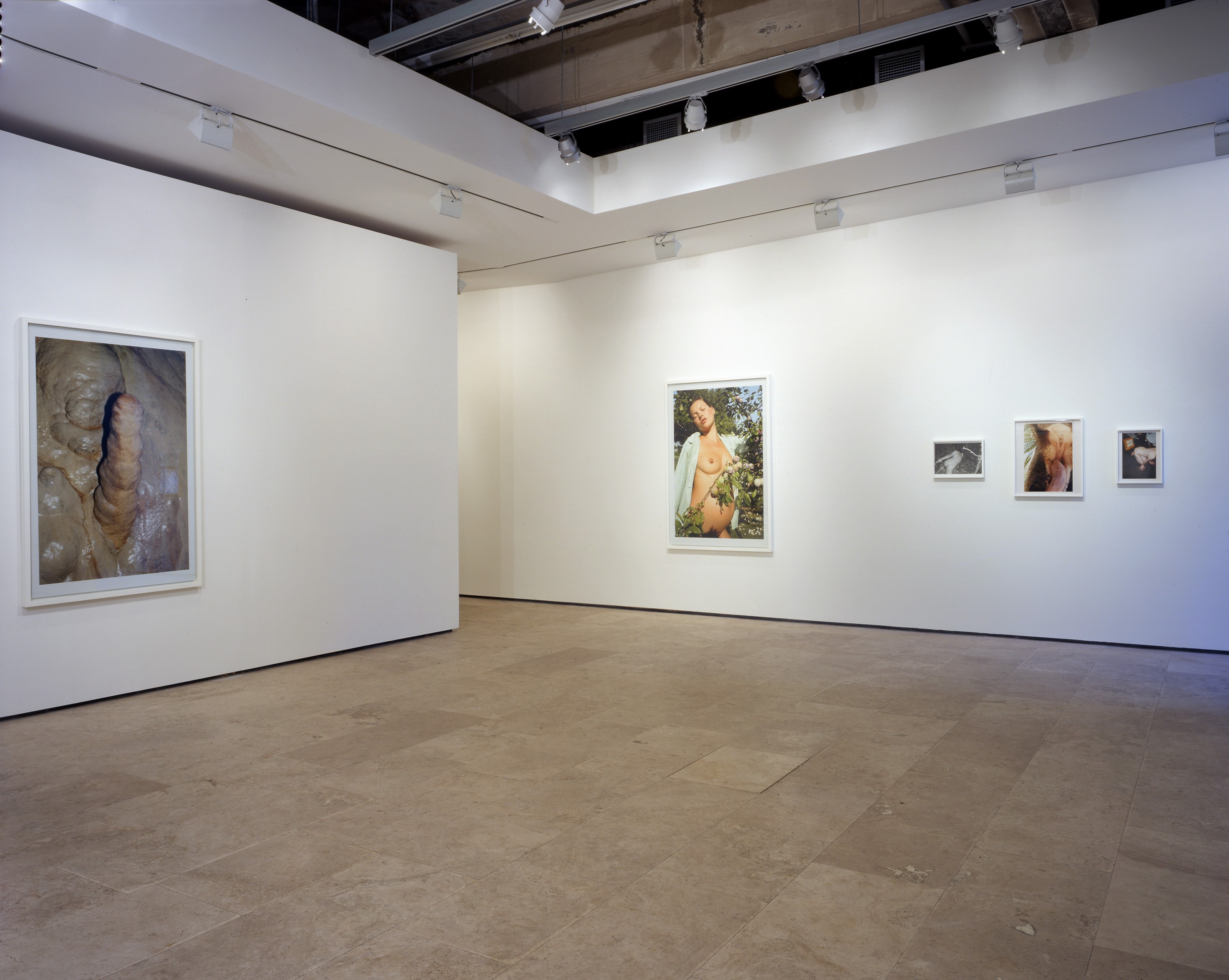 Installation view of Daddy You're So Cute at Lehmann Maupin New York