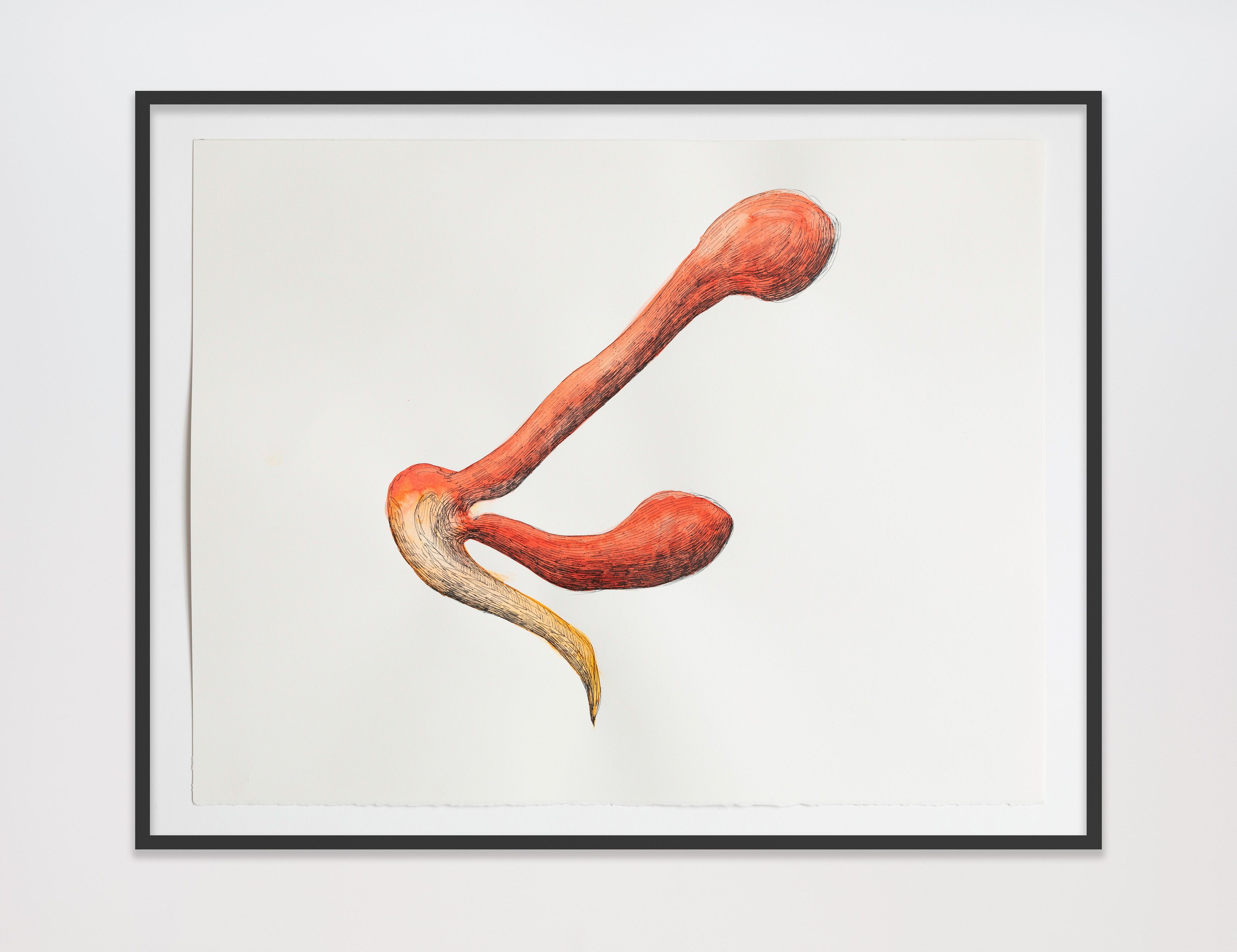 Work on paper by Teresa Solar Abboud