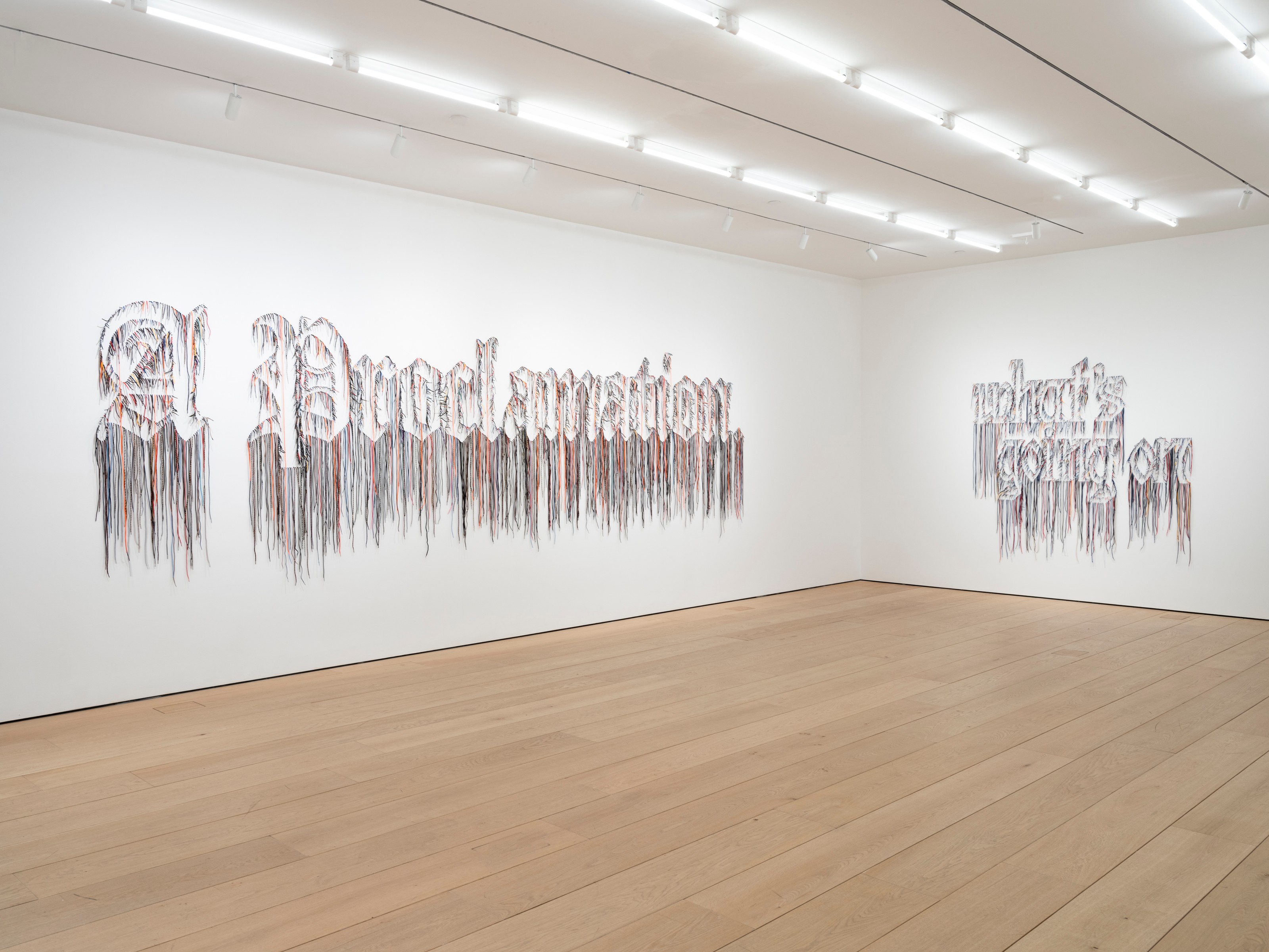 Installation view of Nari Ward at Lehmann Maupin New York