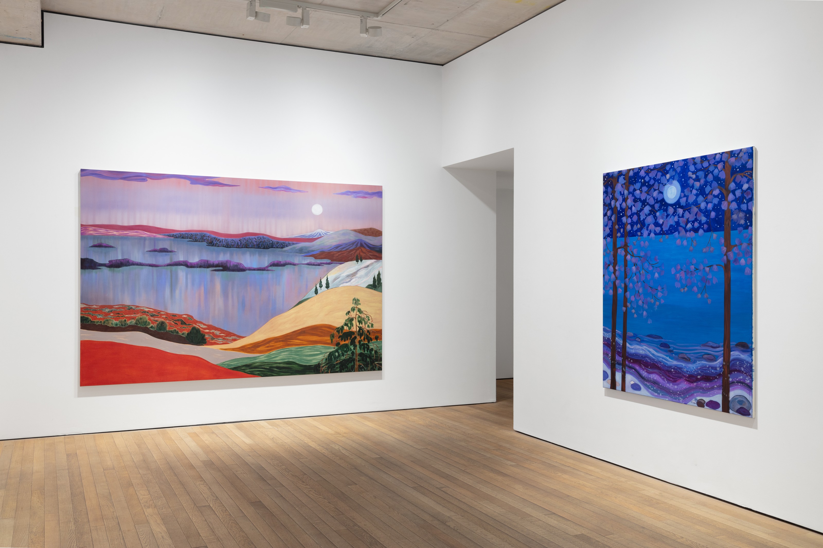 Installation view of Freya Douglas-Morris at Lehmann Maupin London