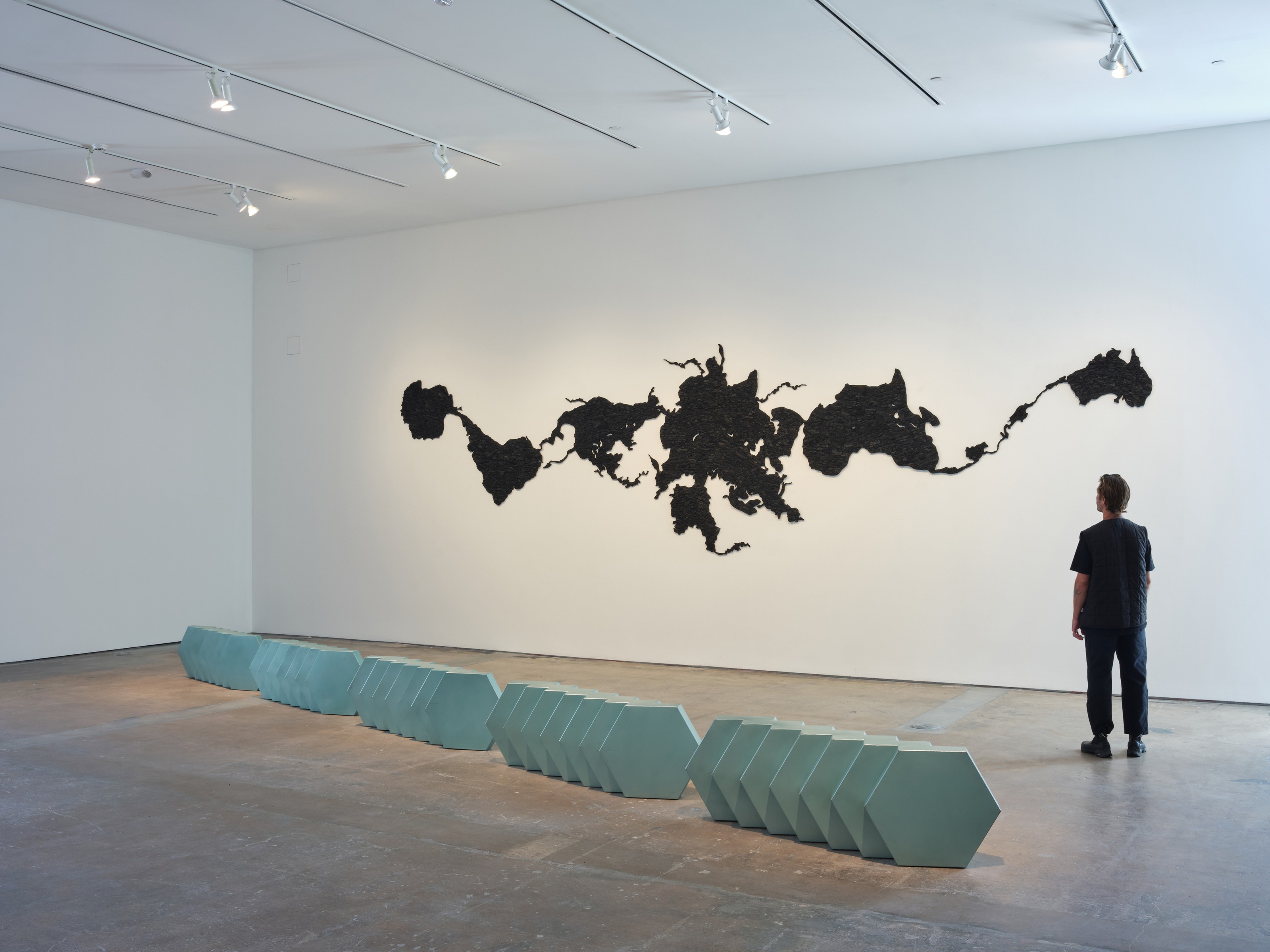 Exhibition by Teresita Fernández