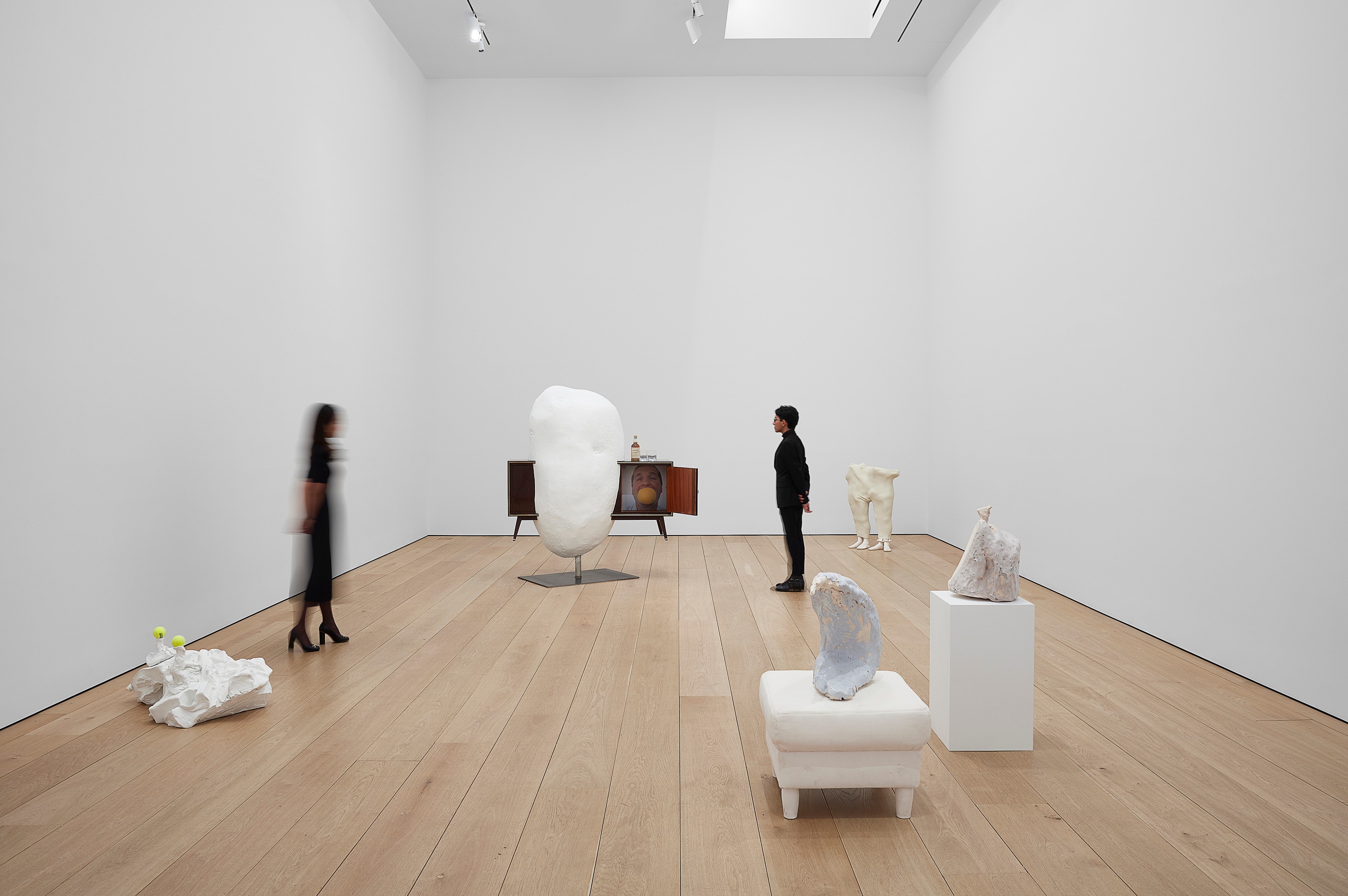 Installation view of Yes Biological at Lehmann Maupin New York