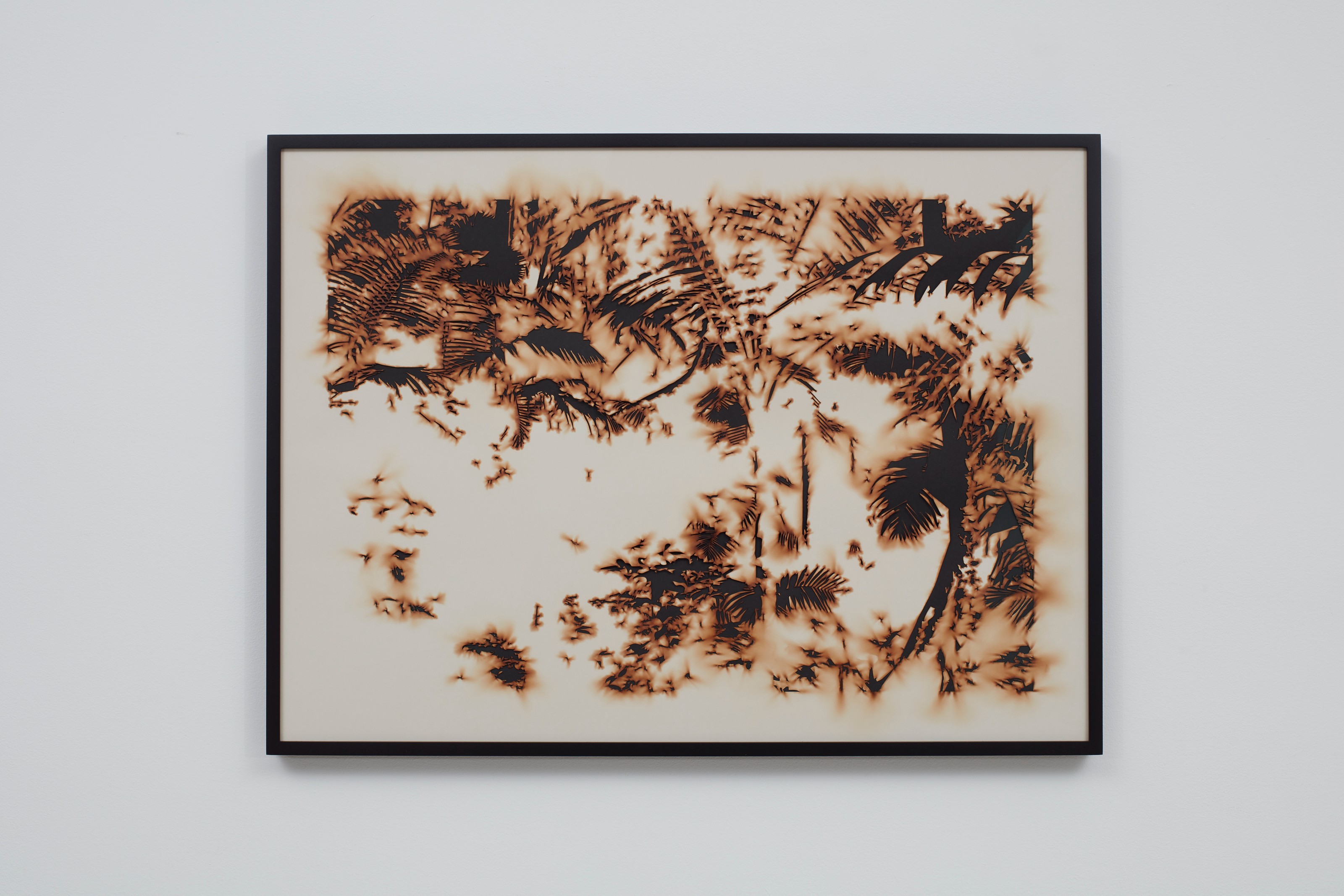 Work on paper by Teresita Fernández